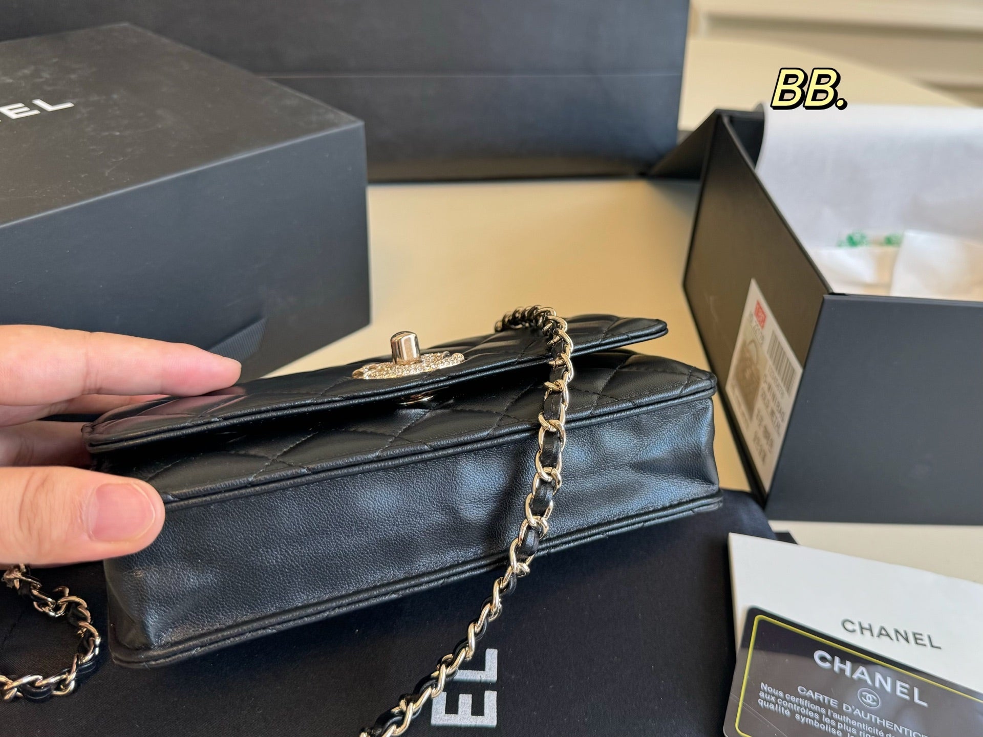 Chanel Diamond-encrusted WOC Chain Bag