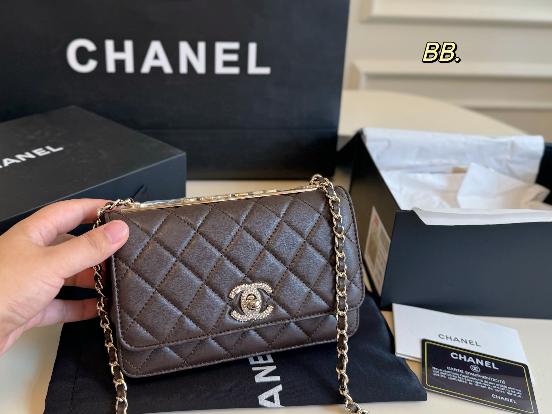 Chanel Diamond-encrusted WOC Chain Bag