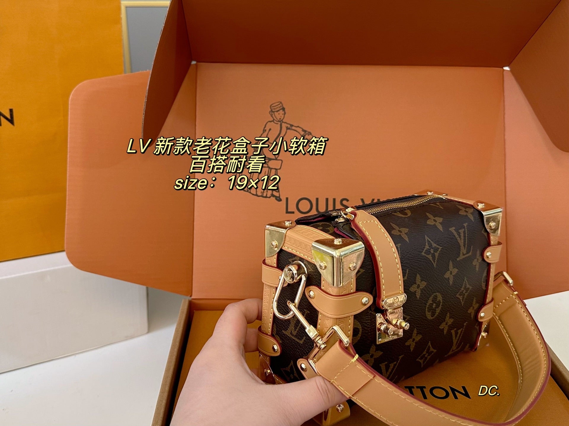 LV Monogram Box Bag, Small Soft Trunk