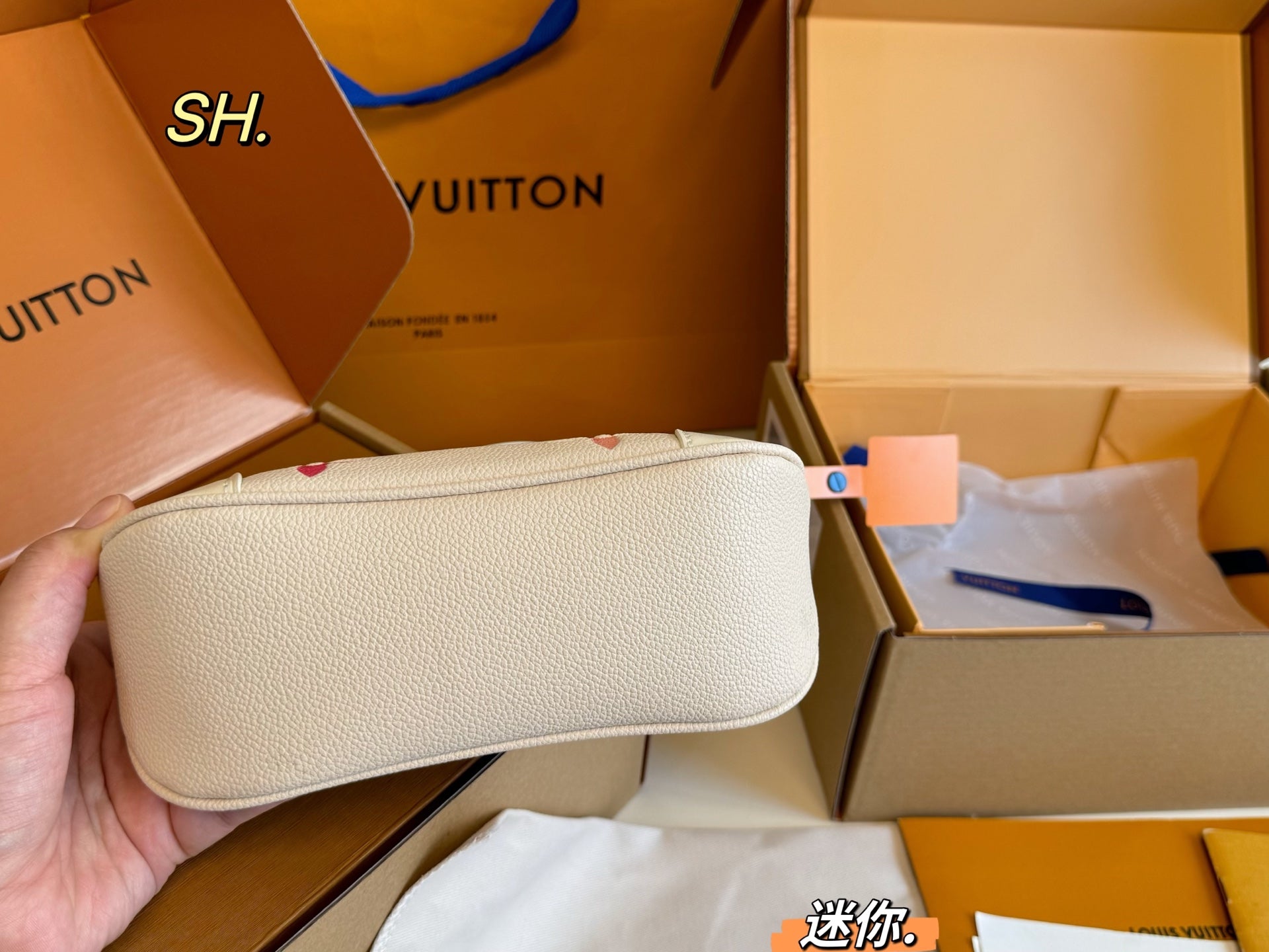 LV Boulogne Mini Embossed Vintage Horn Bag