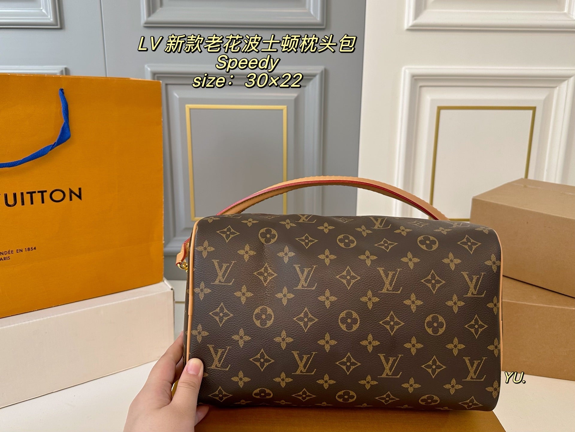 LV Speedy Boston Pillow Bag