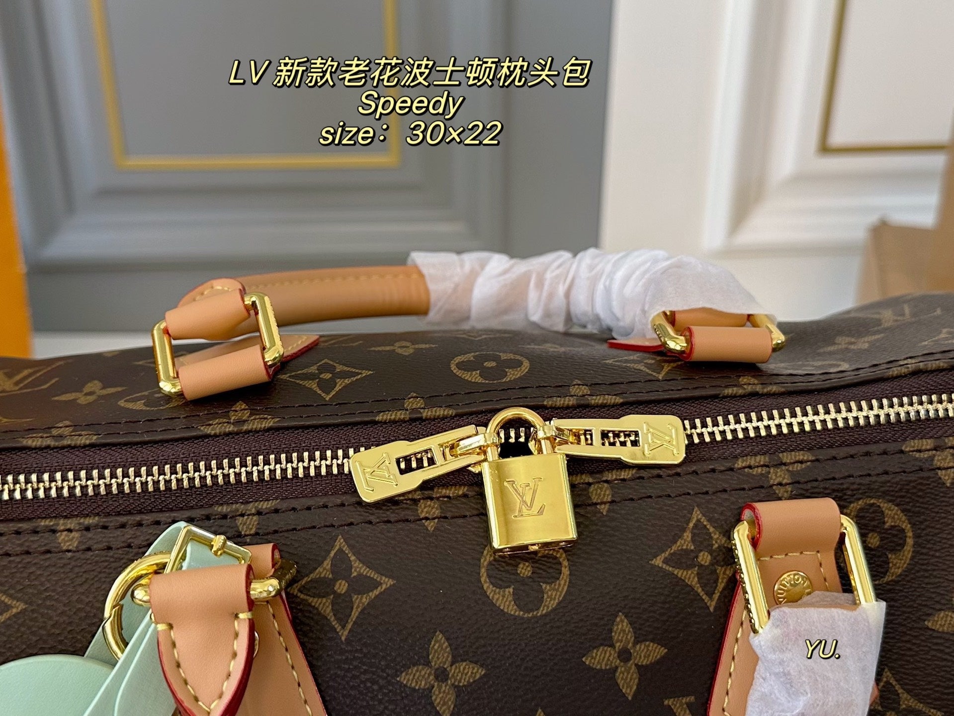 LV Speedy Boston Pillow Bag