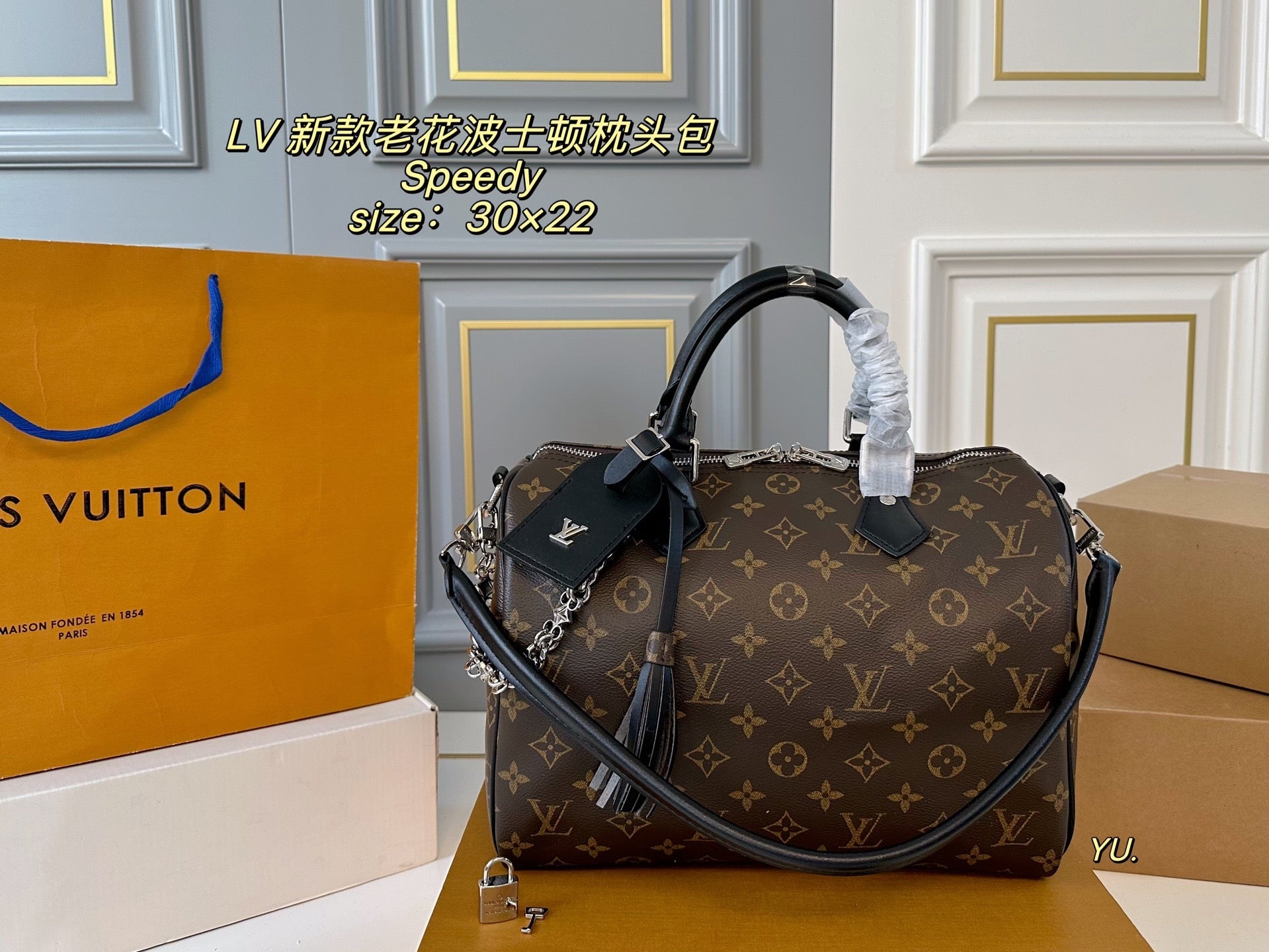 LV Speedy Boston Pillow Bag