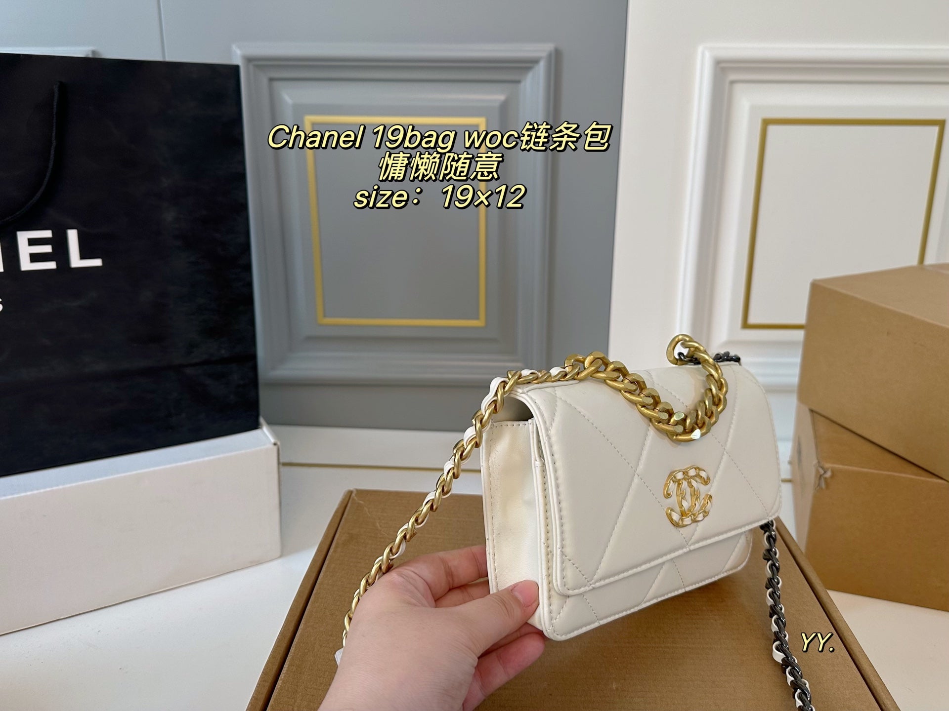 CHANEL 19 woc Chain Bag