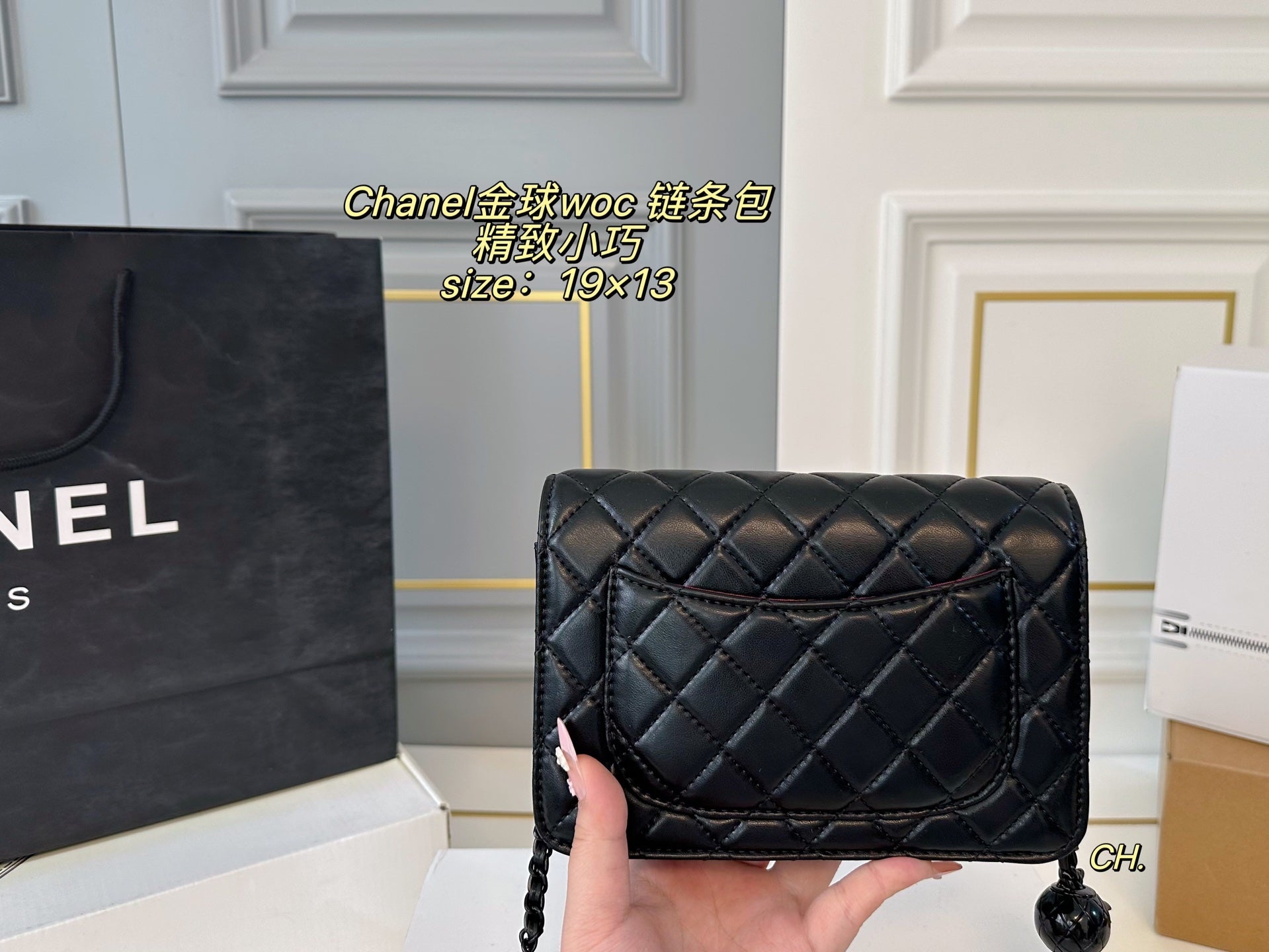 CHANEL Golden Ball WOC chain bag
