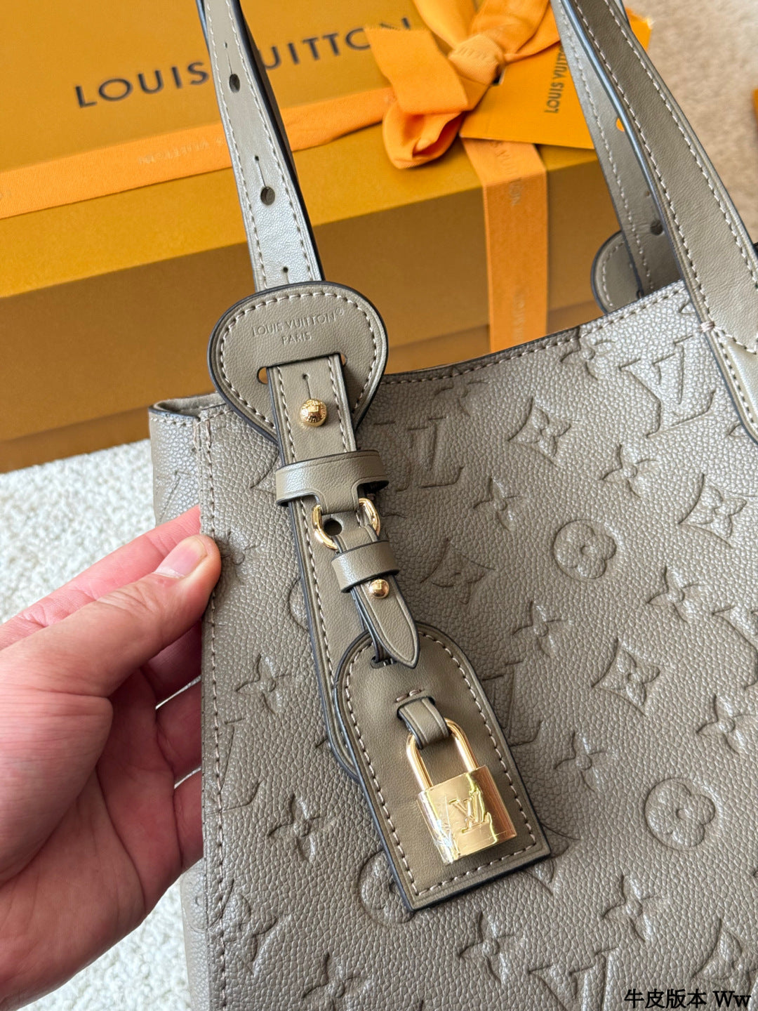 LV All In One Single-shoulder Bag