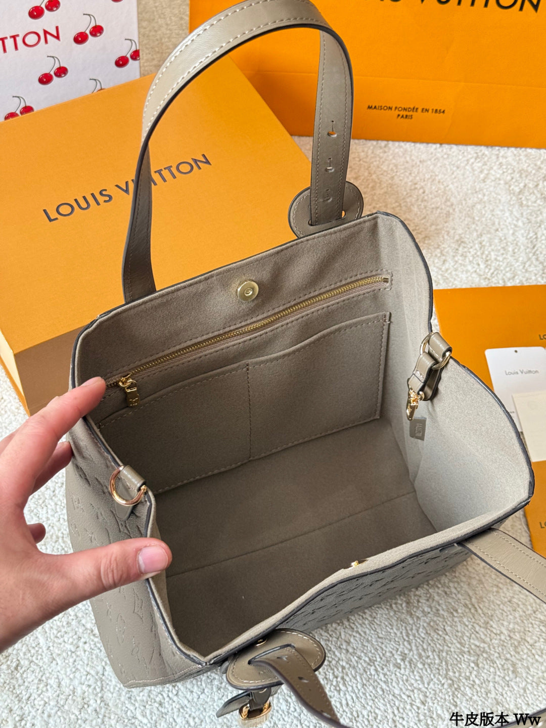 LV All In One Single-shoulder Bag