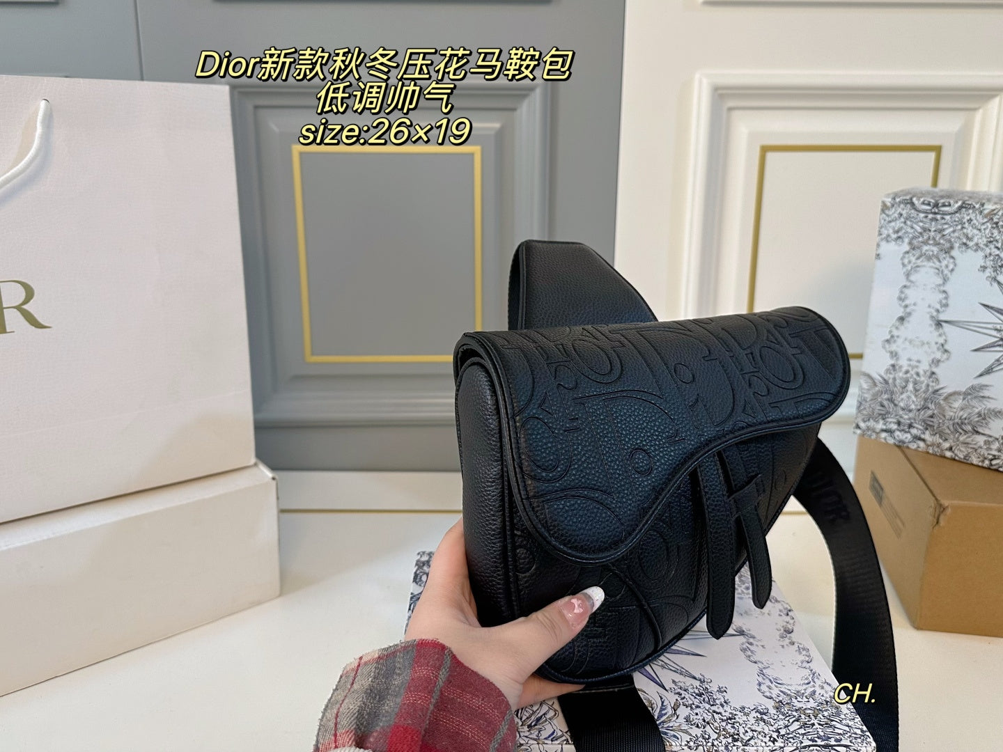 Dior Embossed Saddle Bag