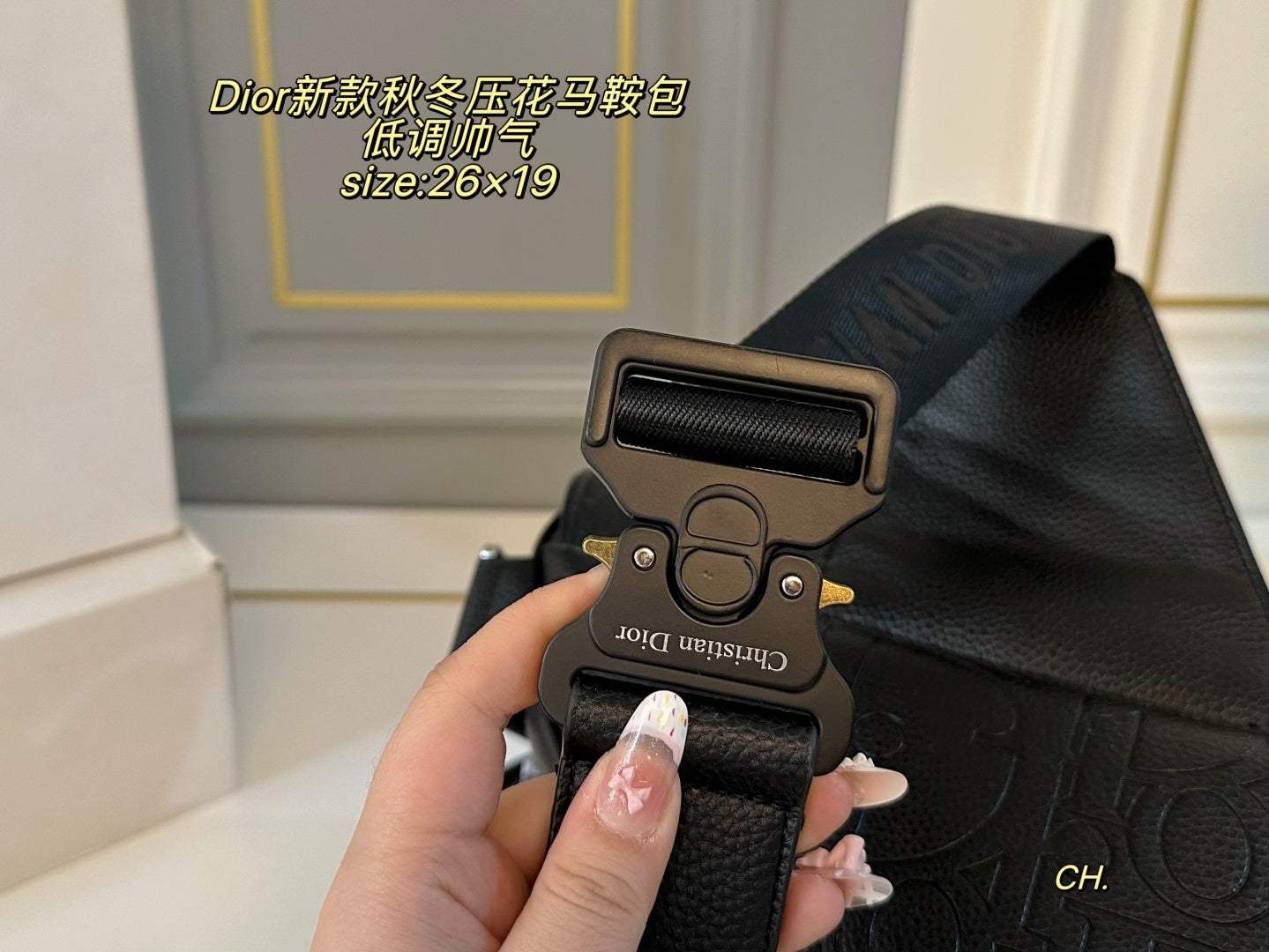 Dior Embossed Saddle Bag