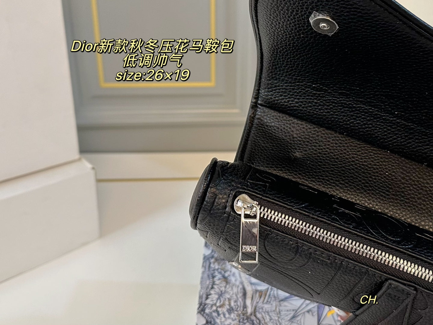 Dior Embossed Saddle Bag