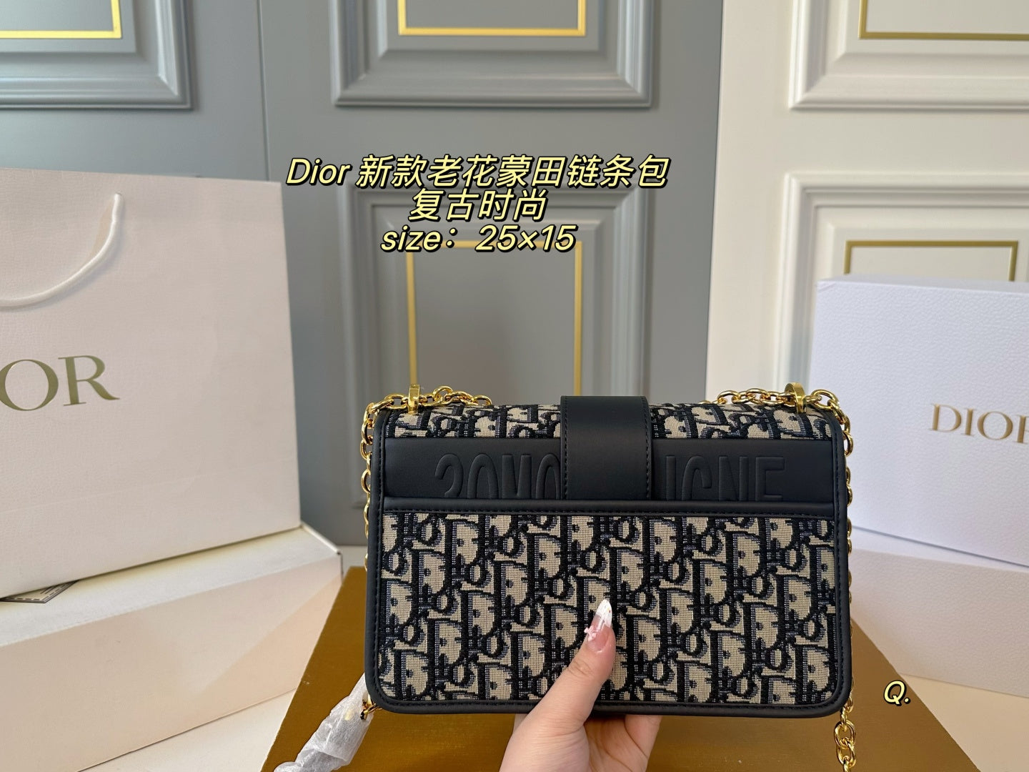 Dior Montaigne Chain Bag