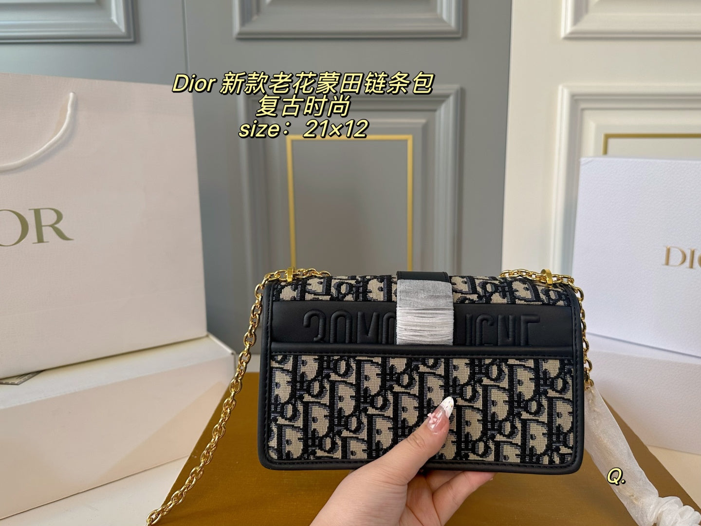 Dior Montaigne Chain Bag