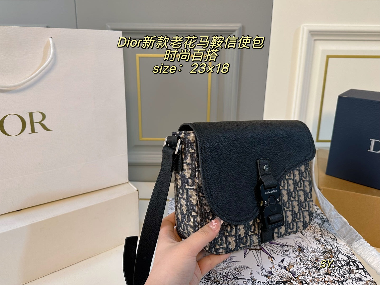 DIOR Saddle Messenger Bag