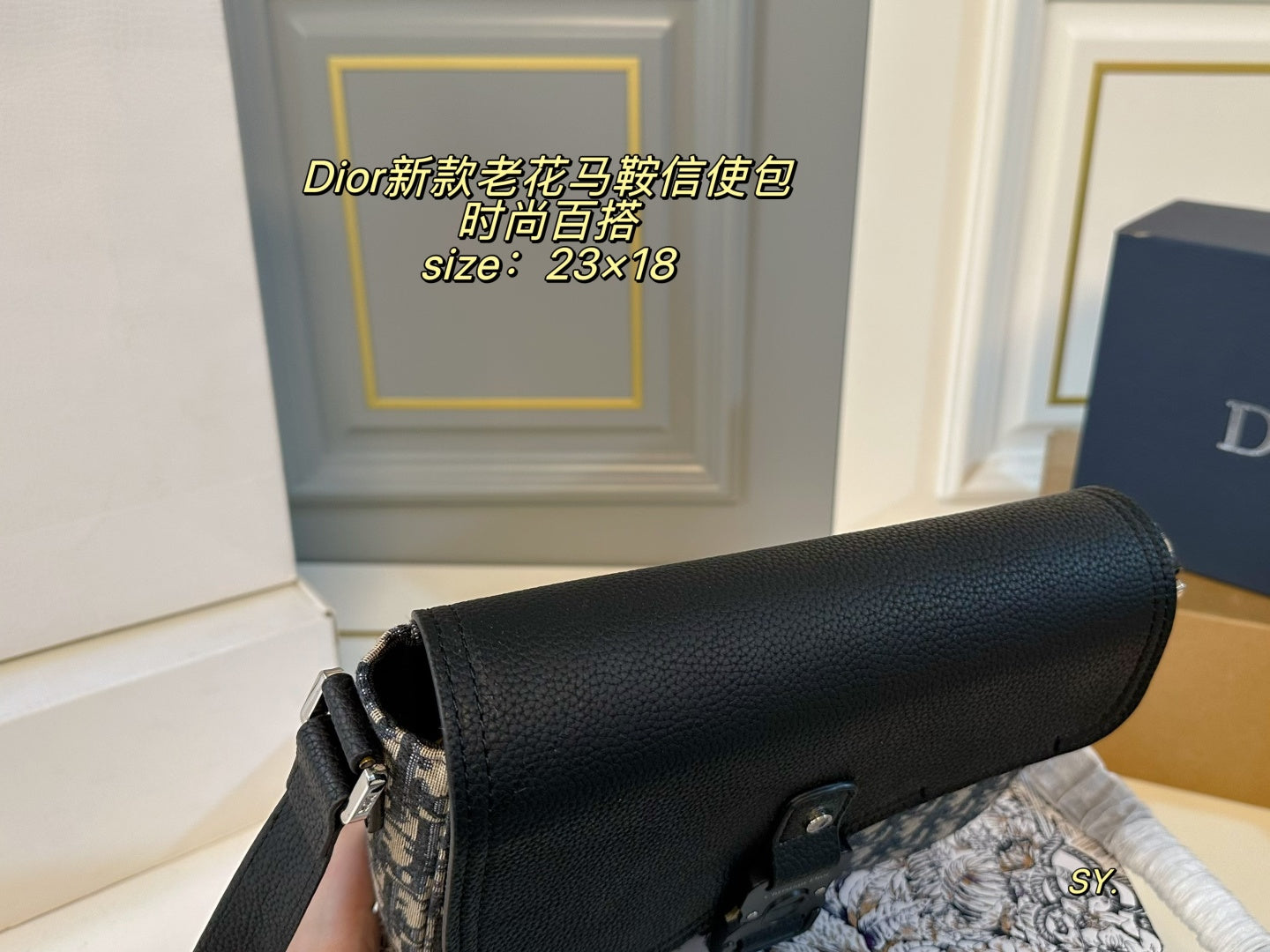 DIOR Saddle Messenger Bag