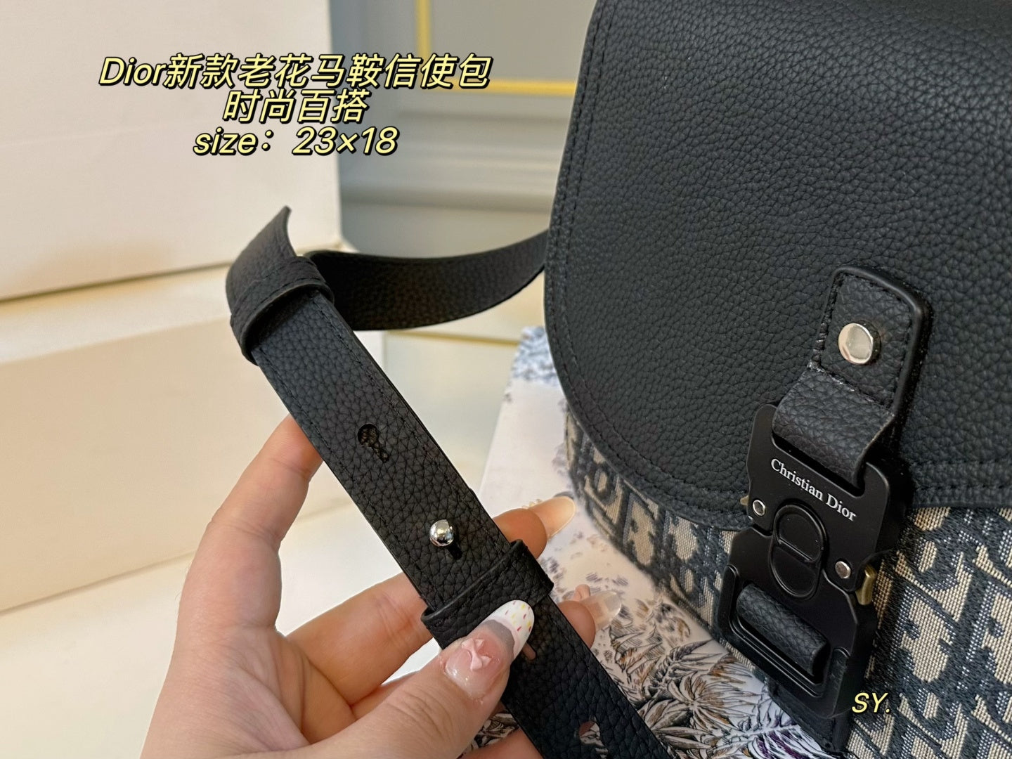 DIOR Saddle Messenger Bag