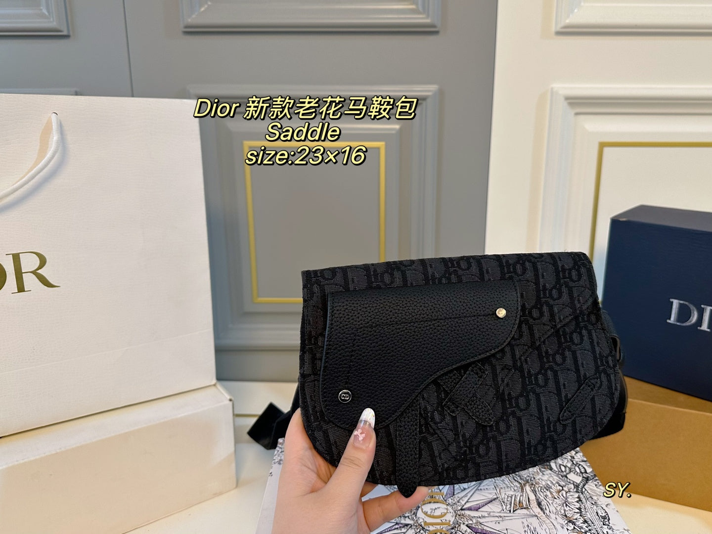 Dior Saddle