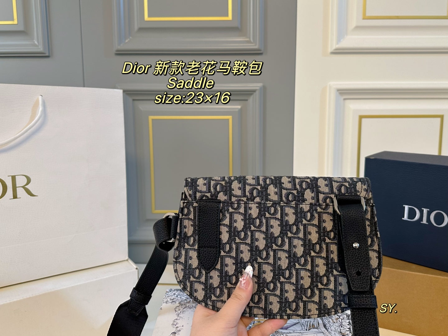 Dior Saddle