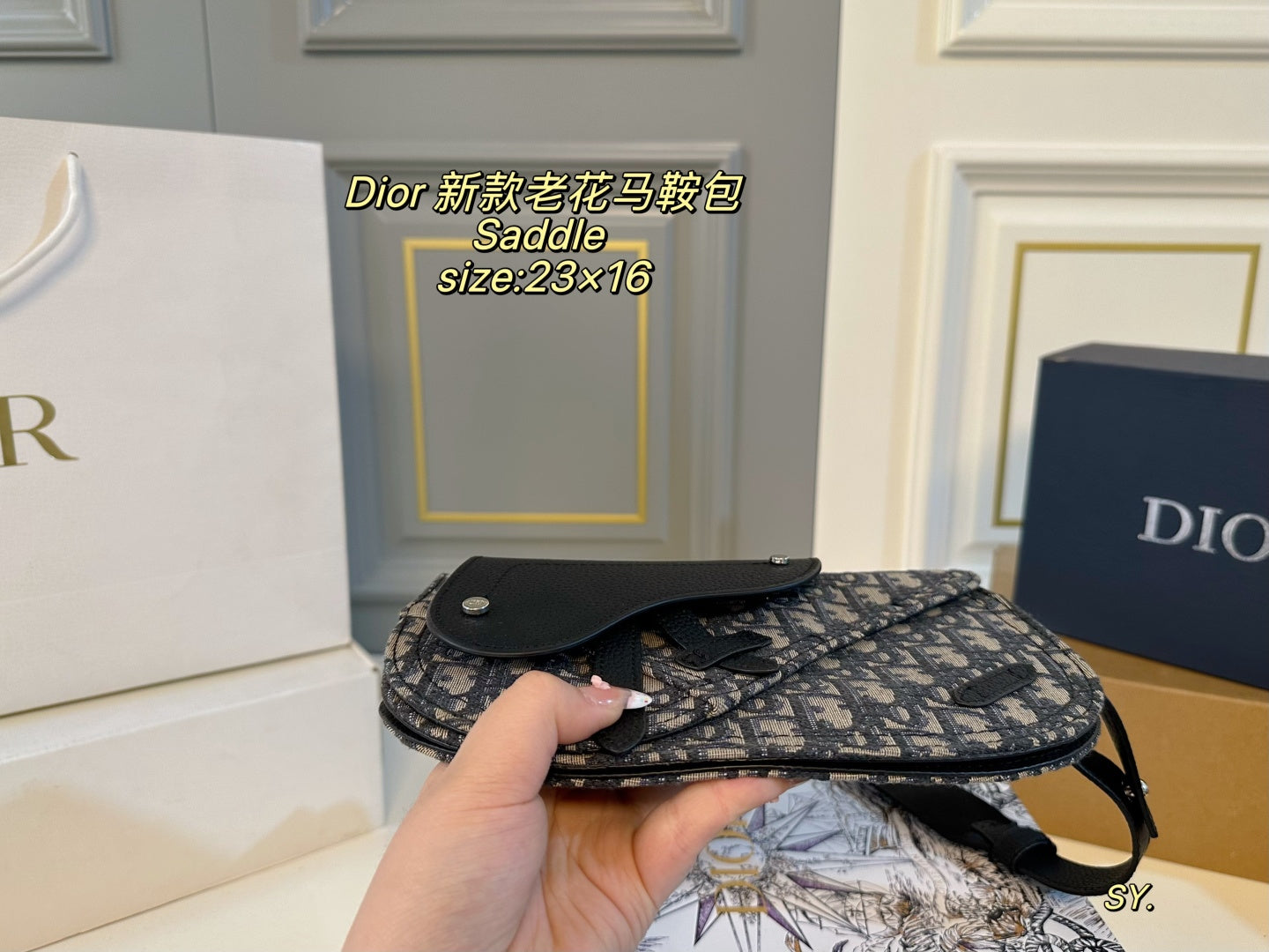 Dior Saddle