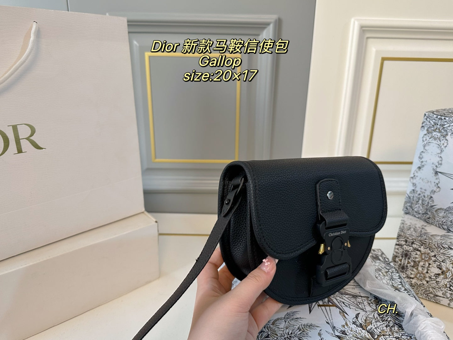 DIOR Gallop Saddle Messenger Bag