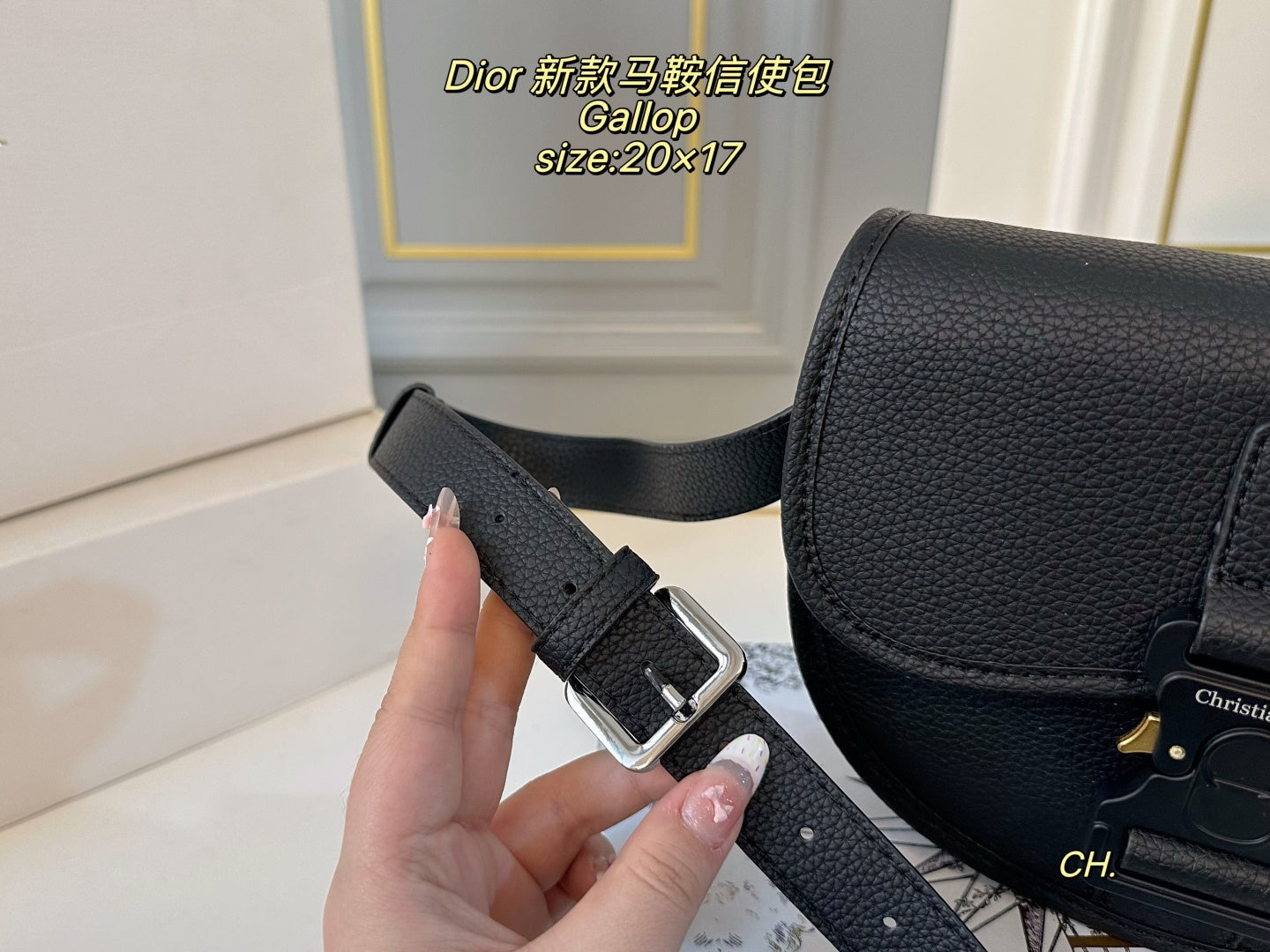 DIOR Gallop Saddle Messenger Bag