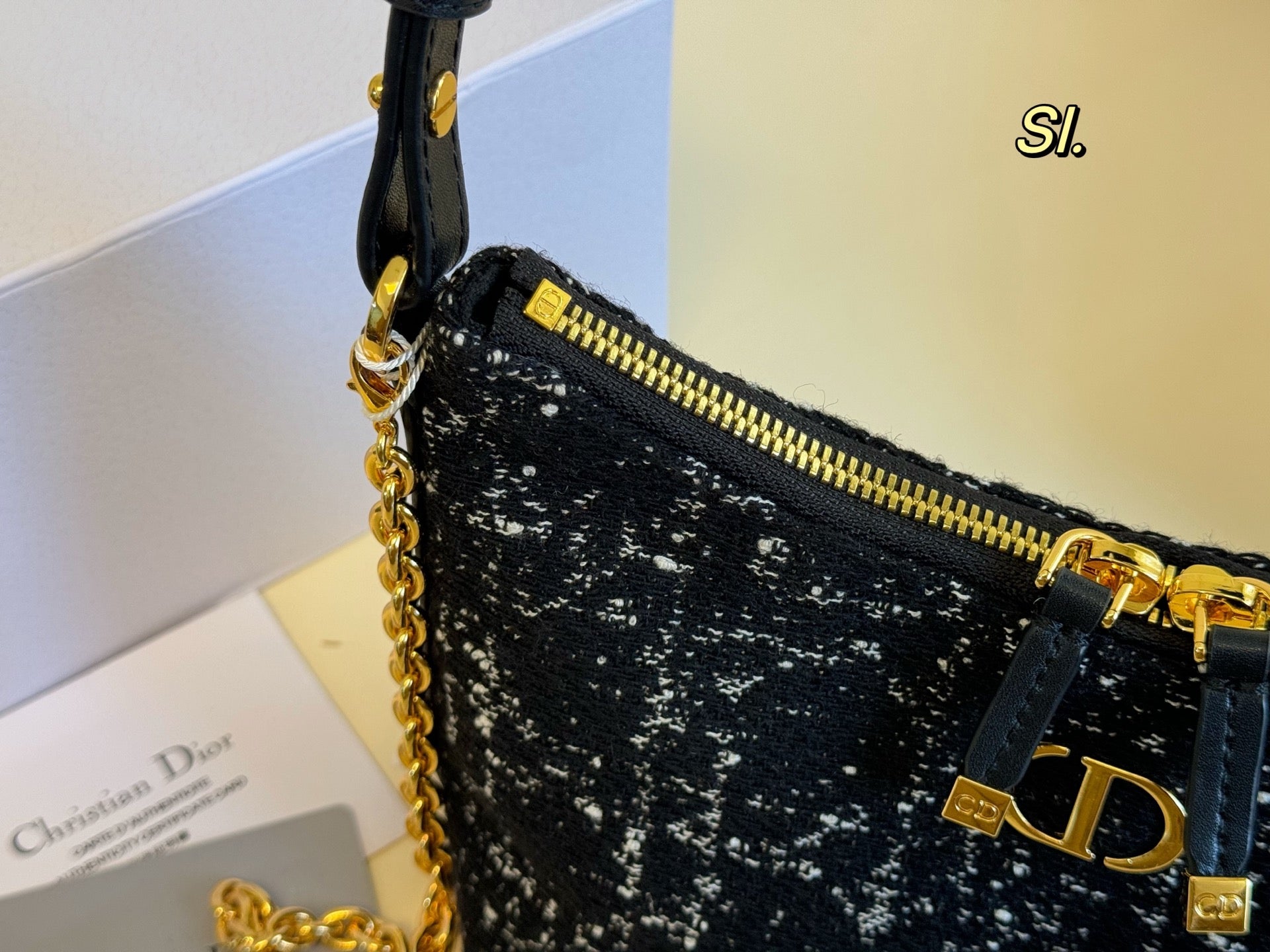 DIOR Caro Underarm Bag