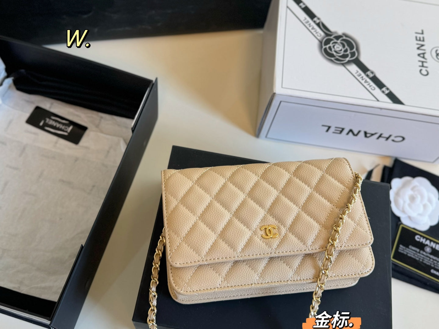 CHANEL woc Chain Bag