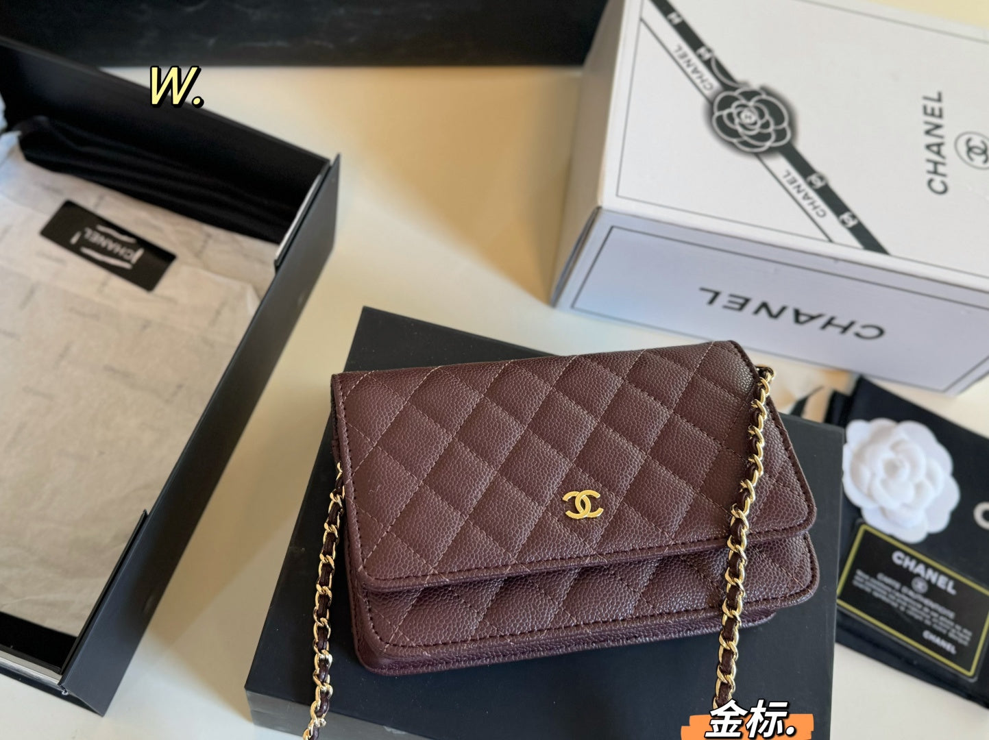 CHANEL woc Chain Bag