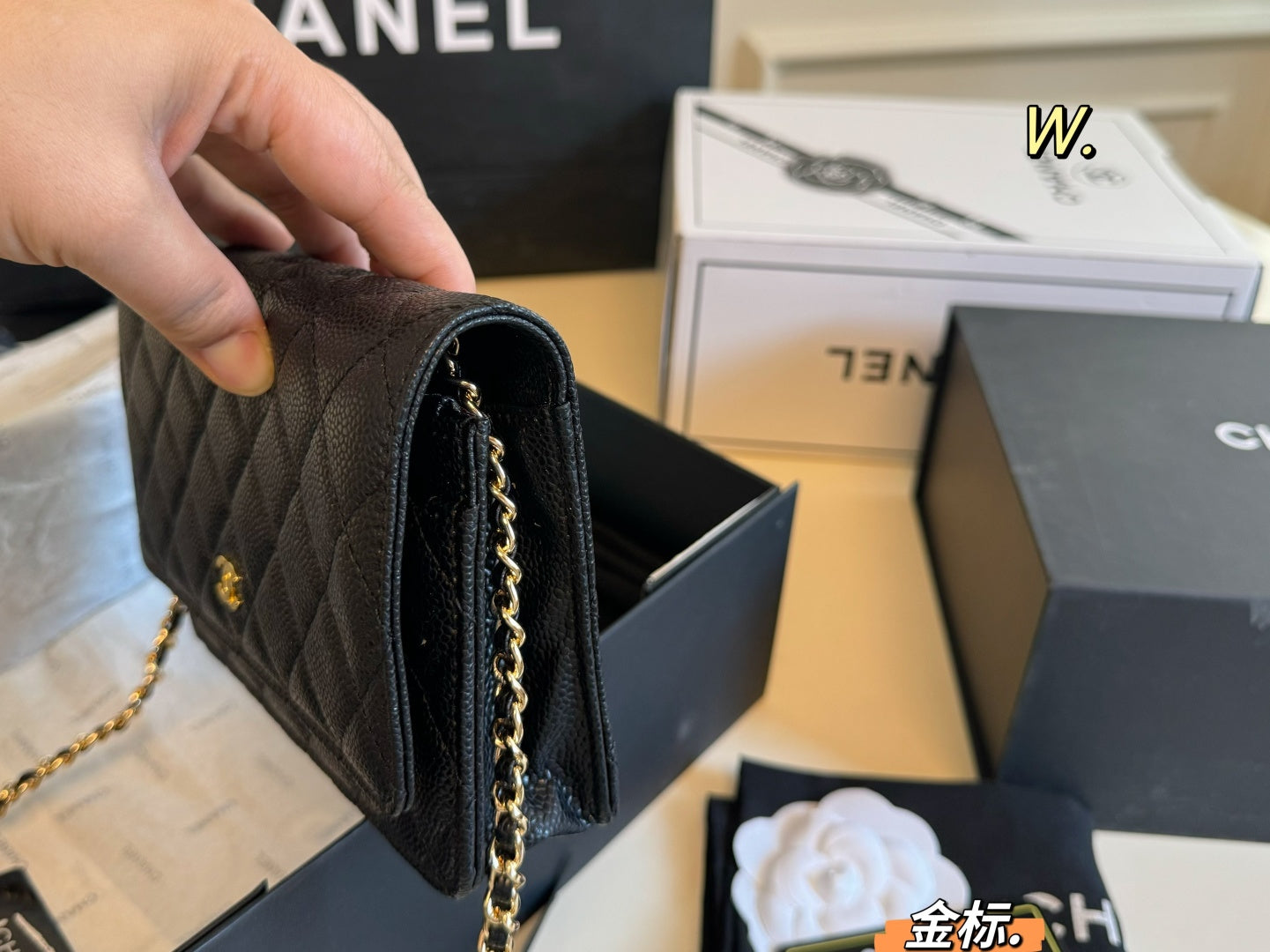 CHANEL woc Chain Bag