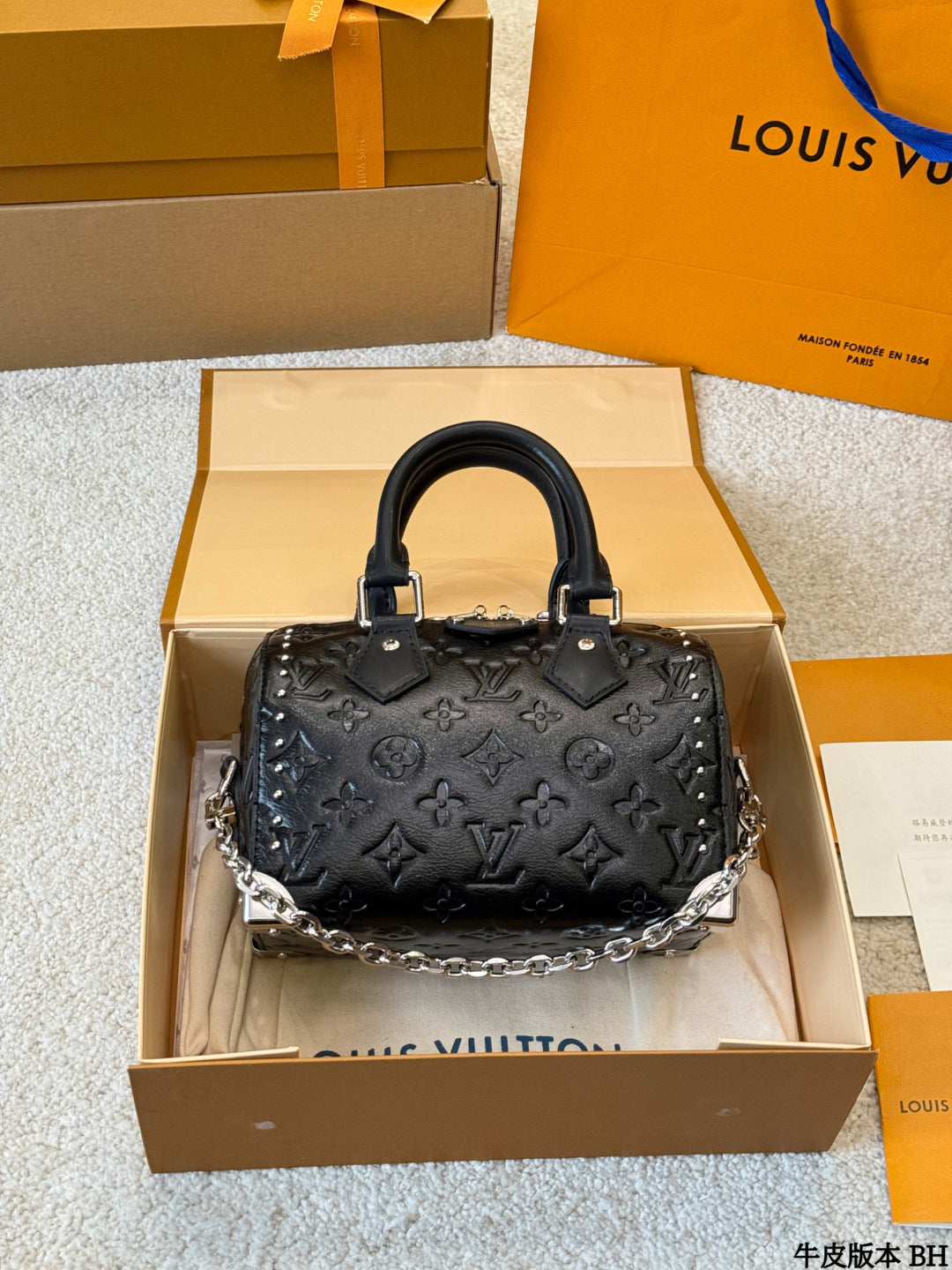 LV Speedy Soft 25 pillow bag