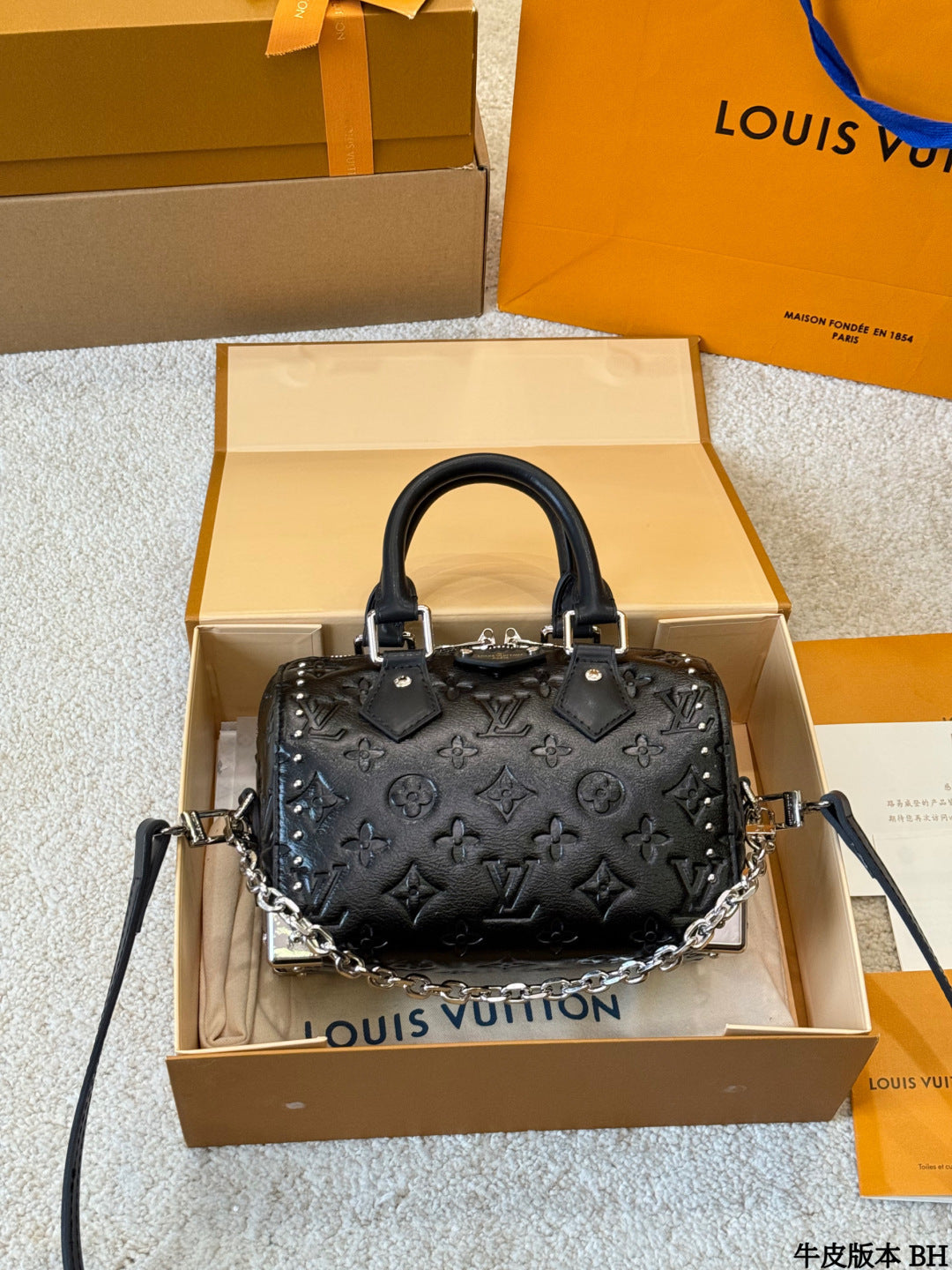 LV Speedy Soft 25 pillow bag