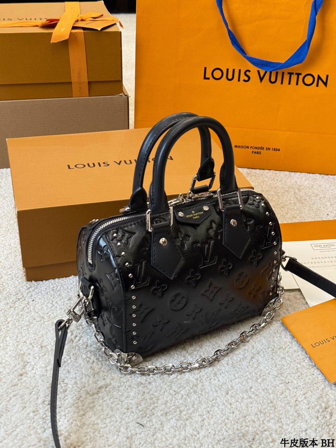 LV Speedy Soft 25 pillow bag