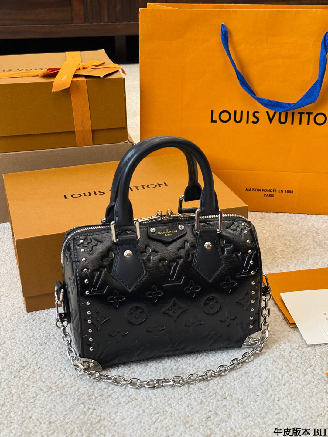 LV Speedy Soft 25 pillow bag
