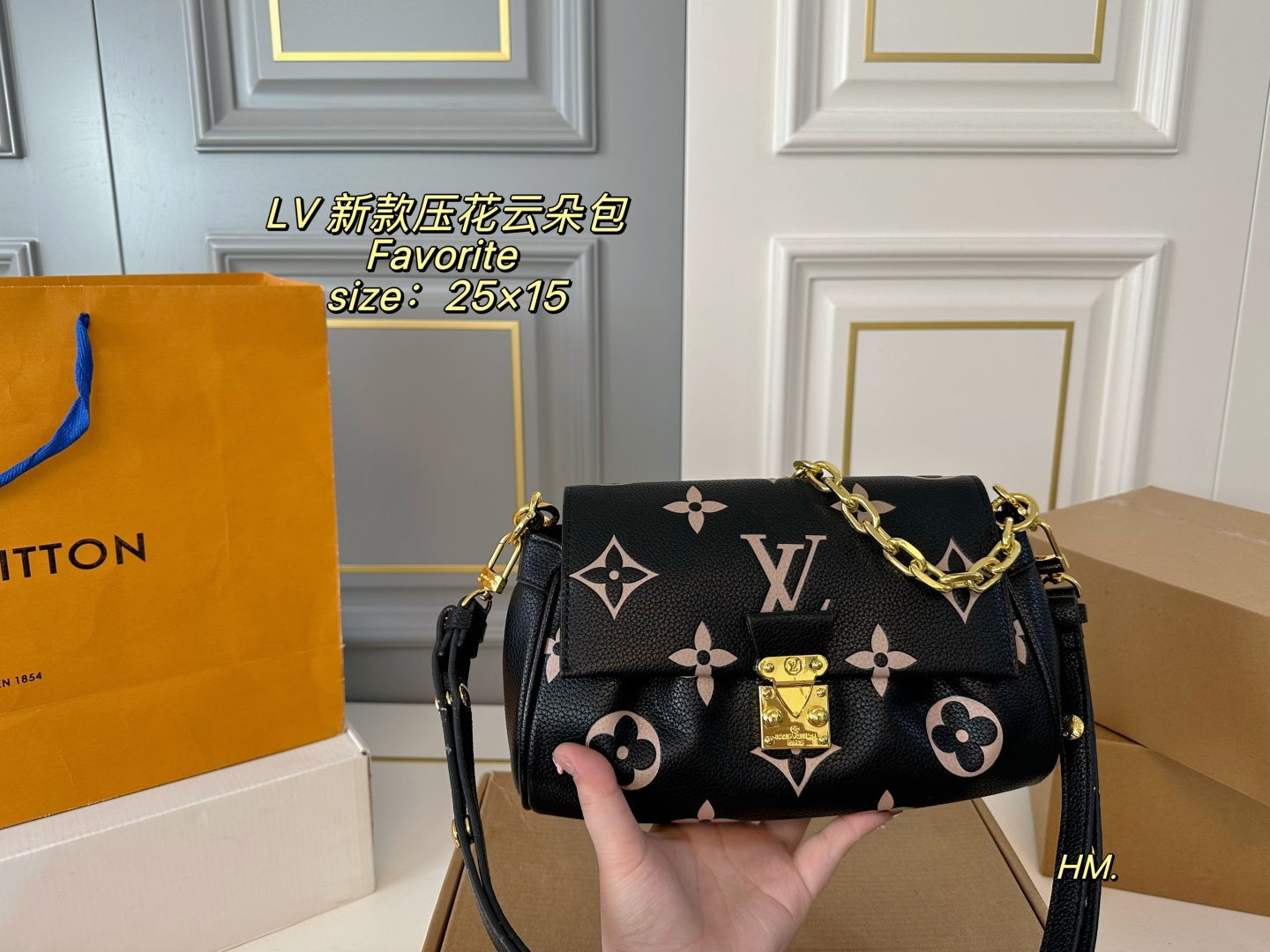 LV Favorite Cloud bag