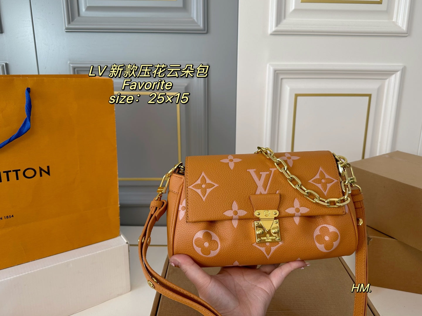 LV Favorite Cloud bag