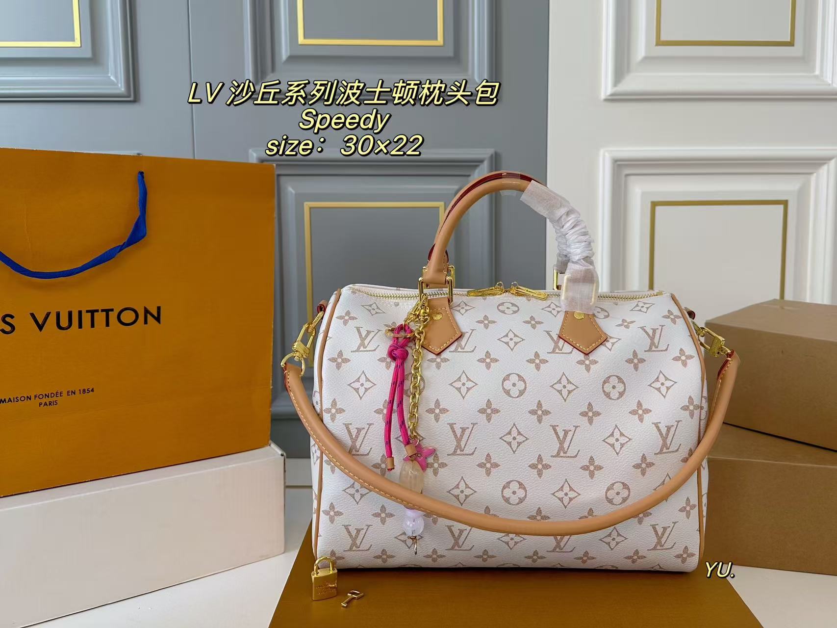 LV Speedy Boston Pillow Bag