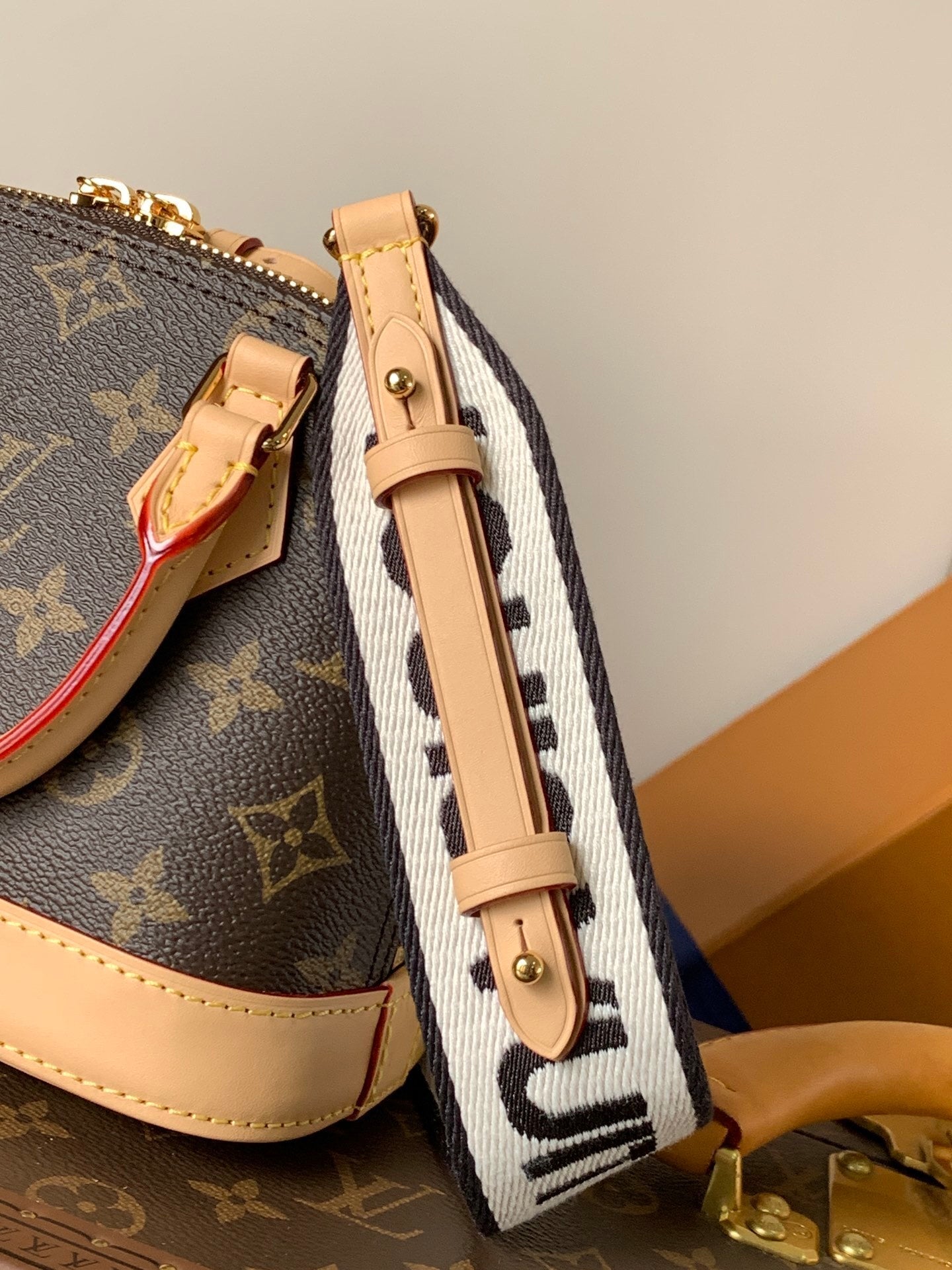 1:1 Replica LV Shell Bag