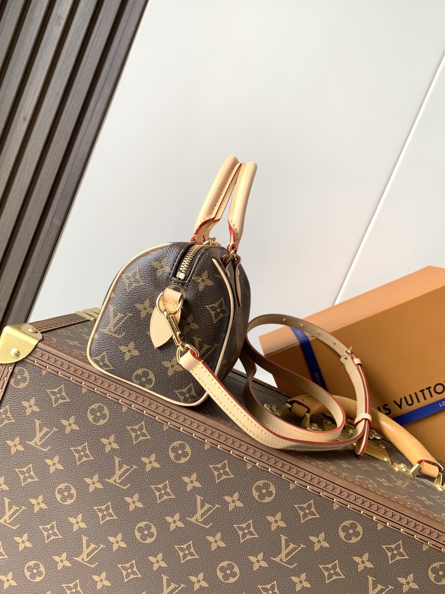 1:1 Replica LV Pillow Bag