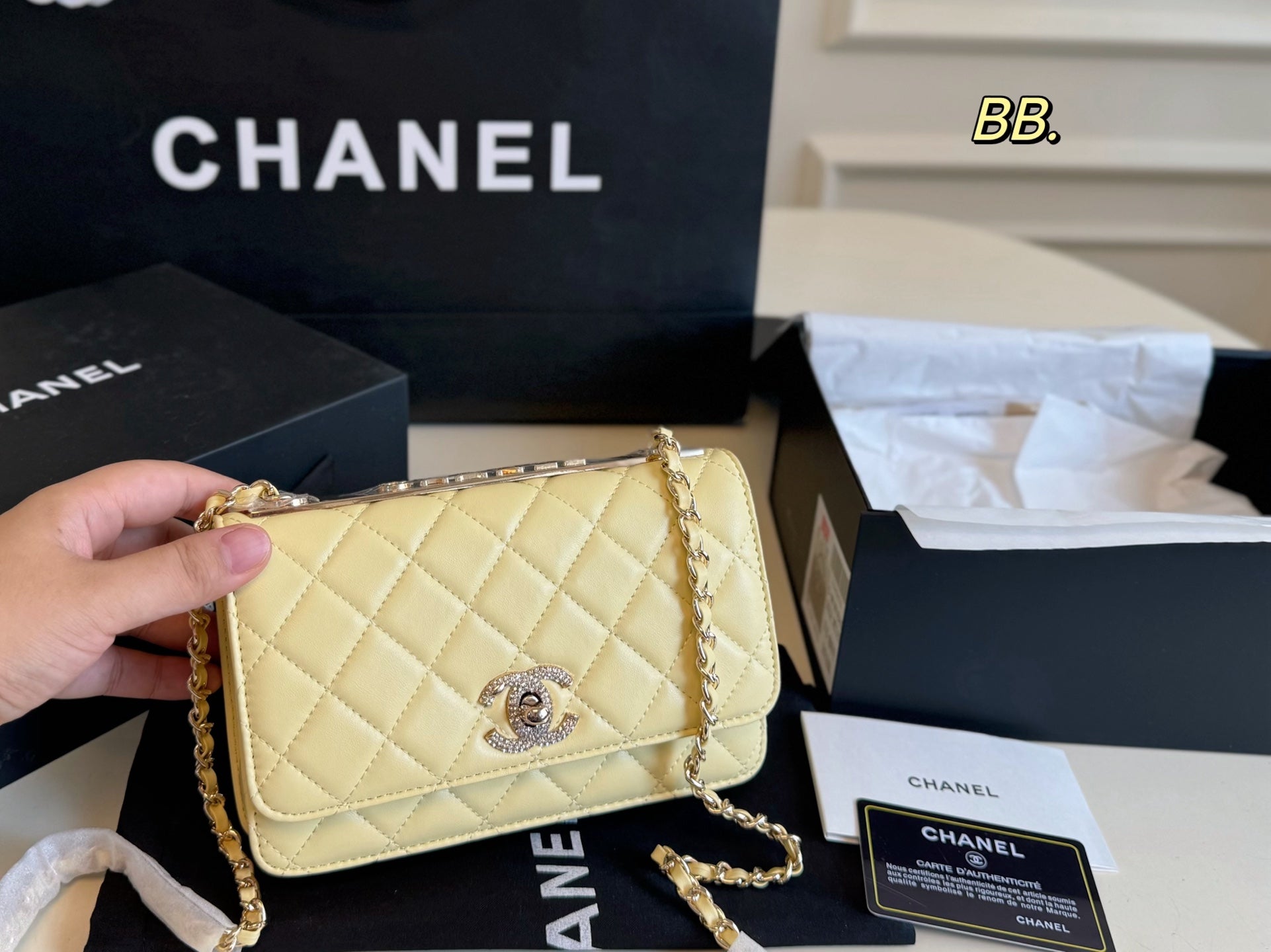 Chanel Diamond-encrusted WOC Chain Bag