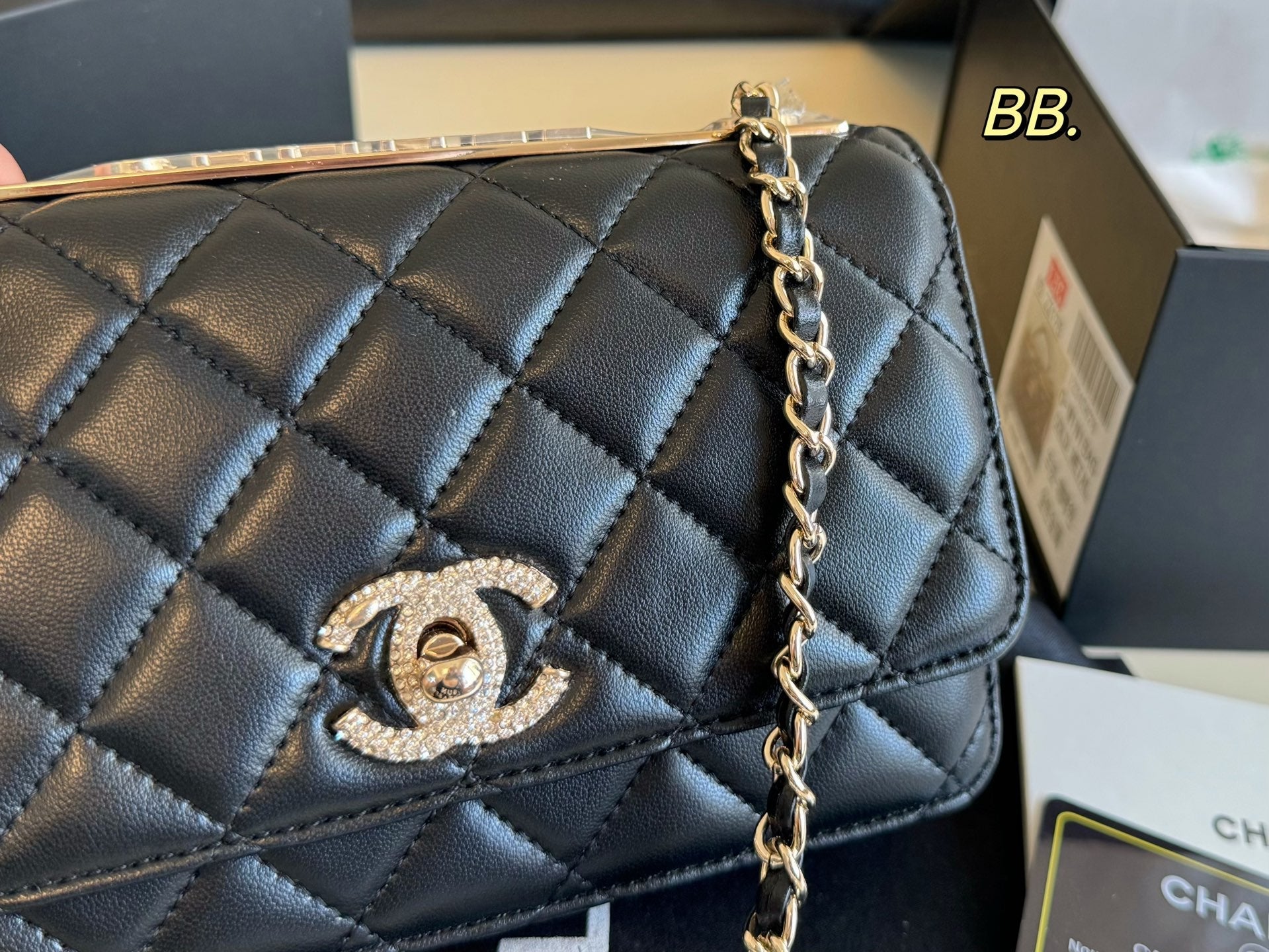 Chanel Diamond-encrusted WOC Chain Bag