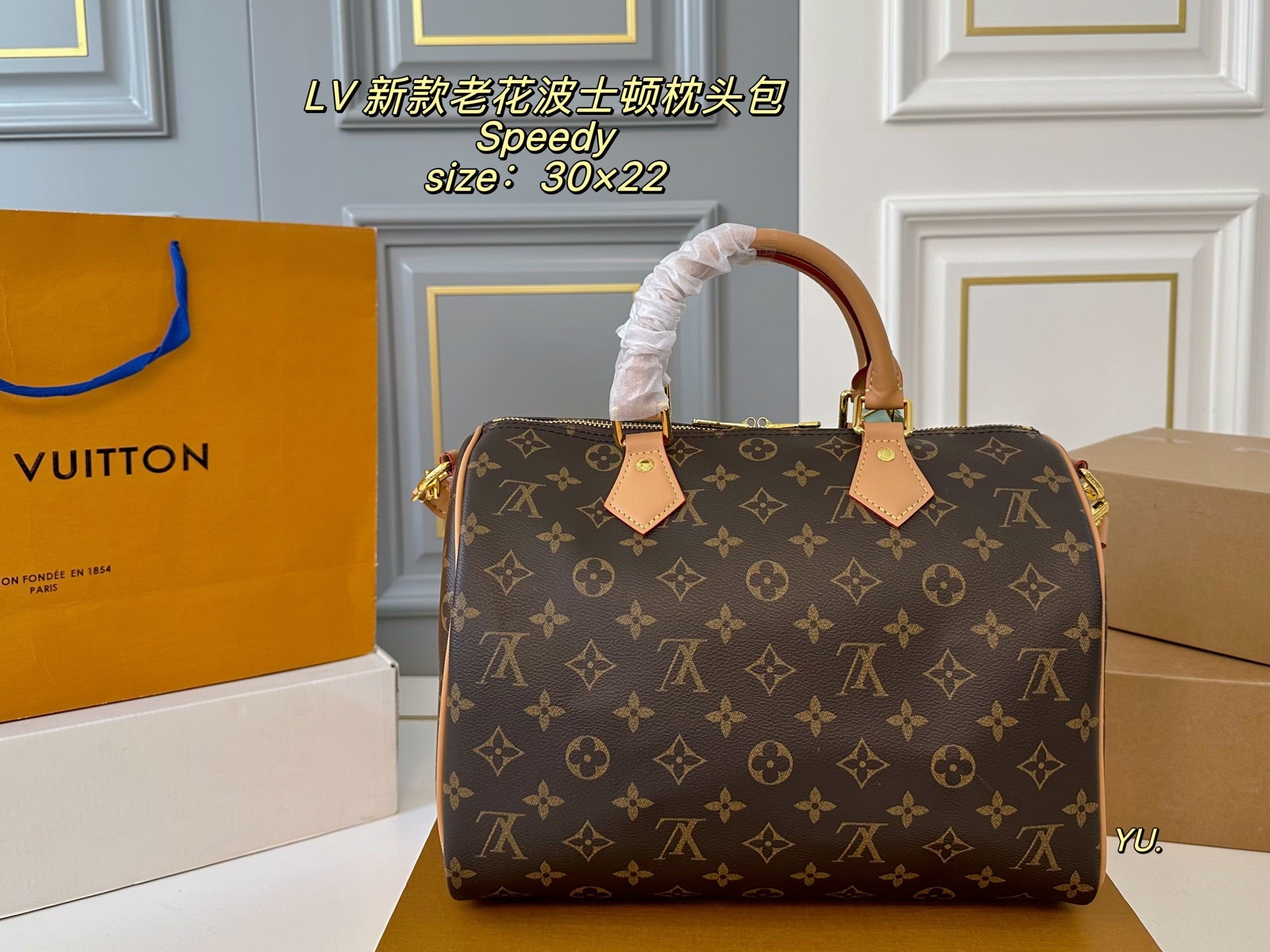 LV Speedy Boston Pillow Bag