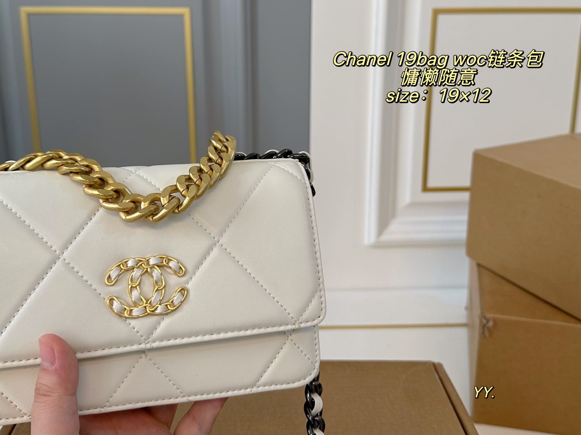 CHANEL 19 woc Chain Bag