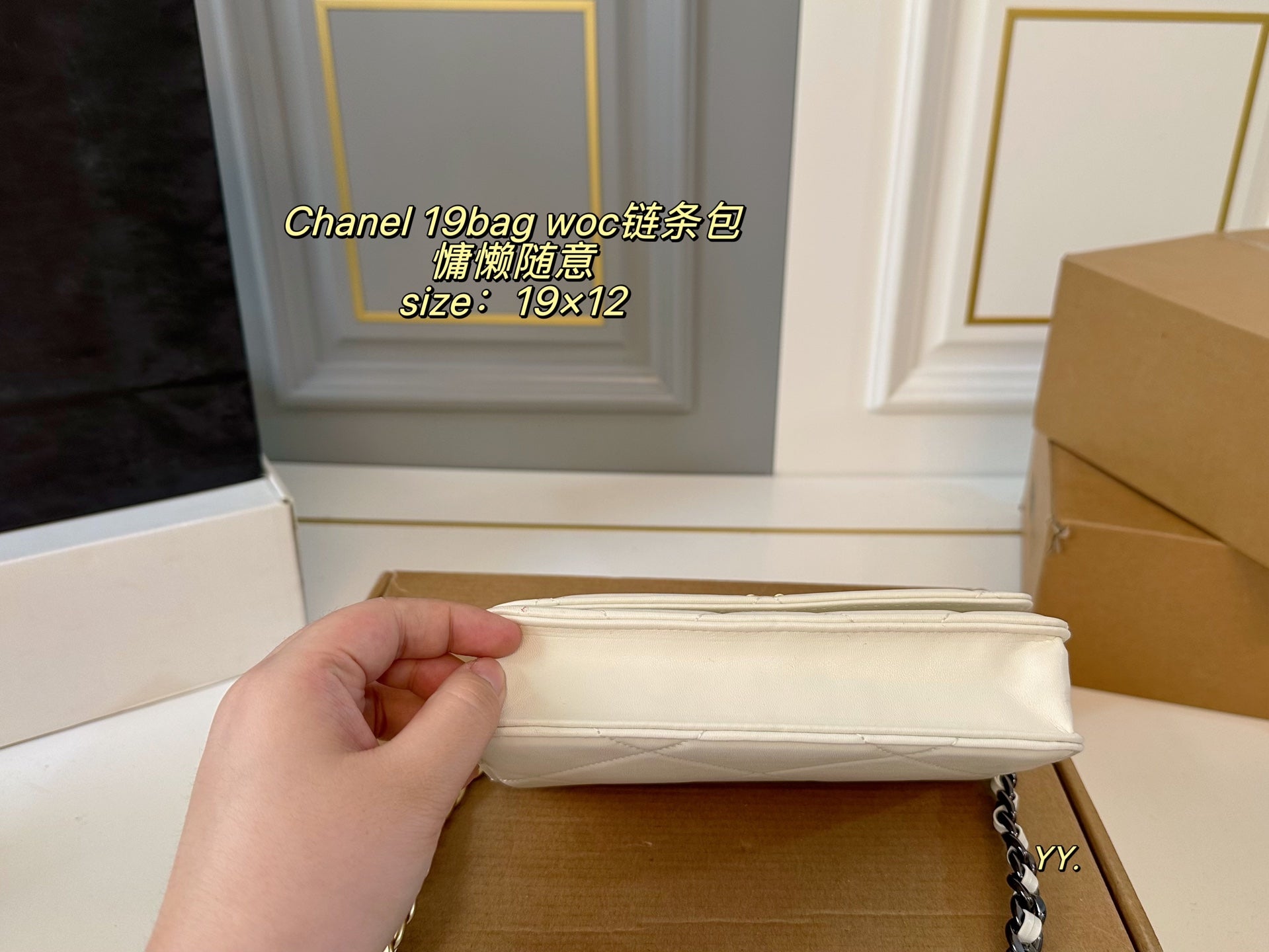 CHANEL 19 woc Chain Bag