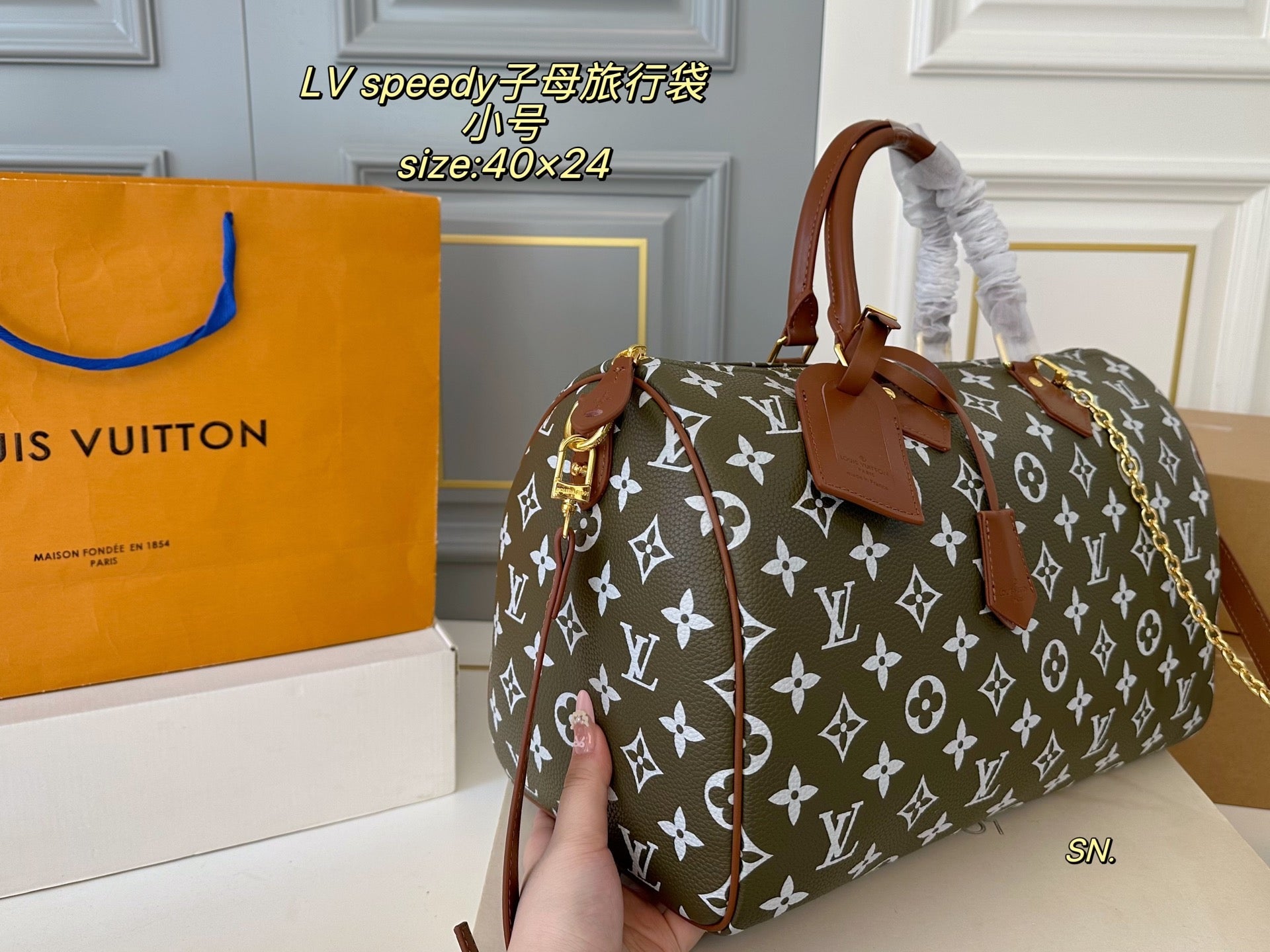 LV speedy Travel Bag