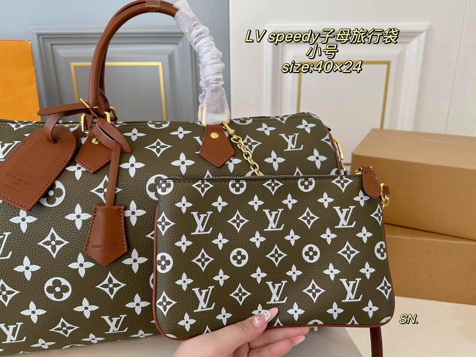 LV speedy Travel Bag