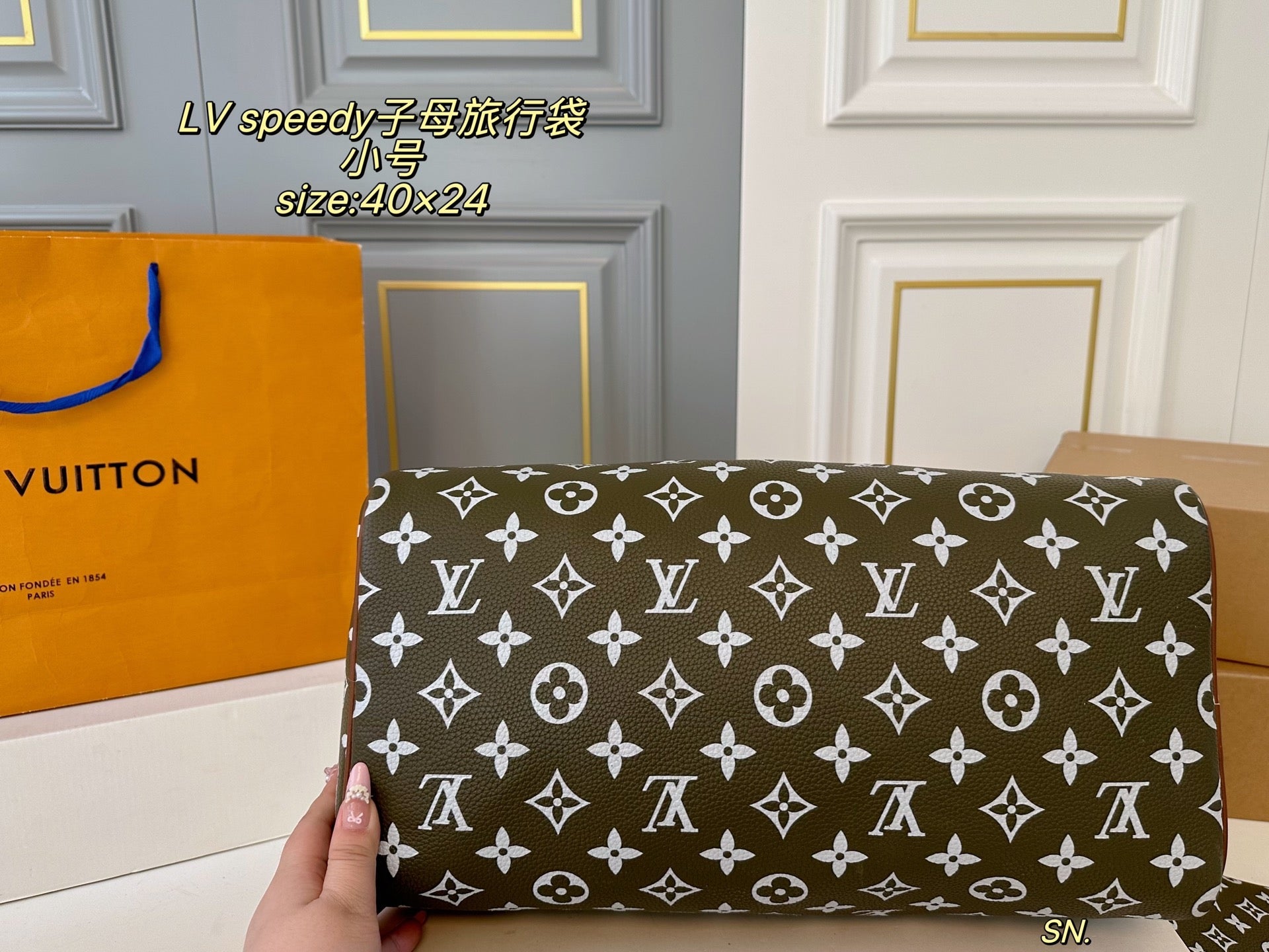 LV speedy Travel Bag