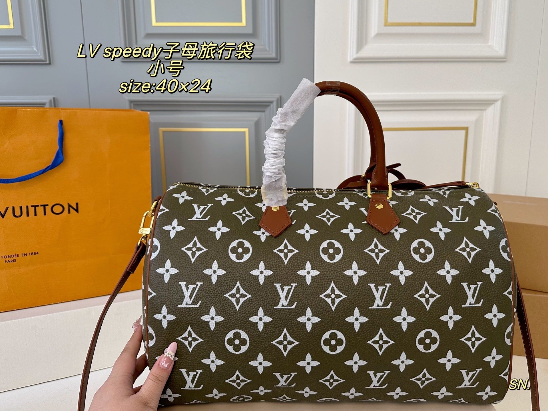 LV speedy Travel Bag