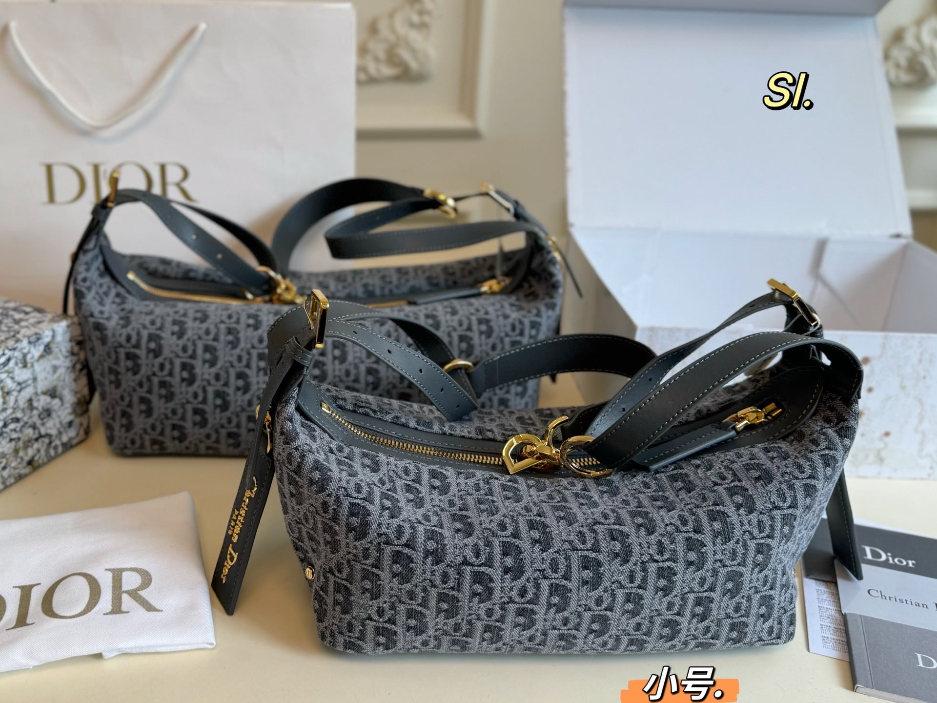 DIOR Journey Bag