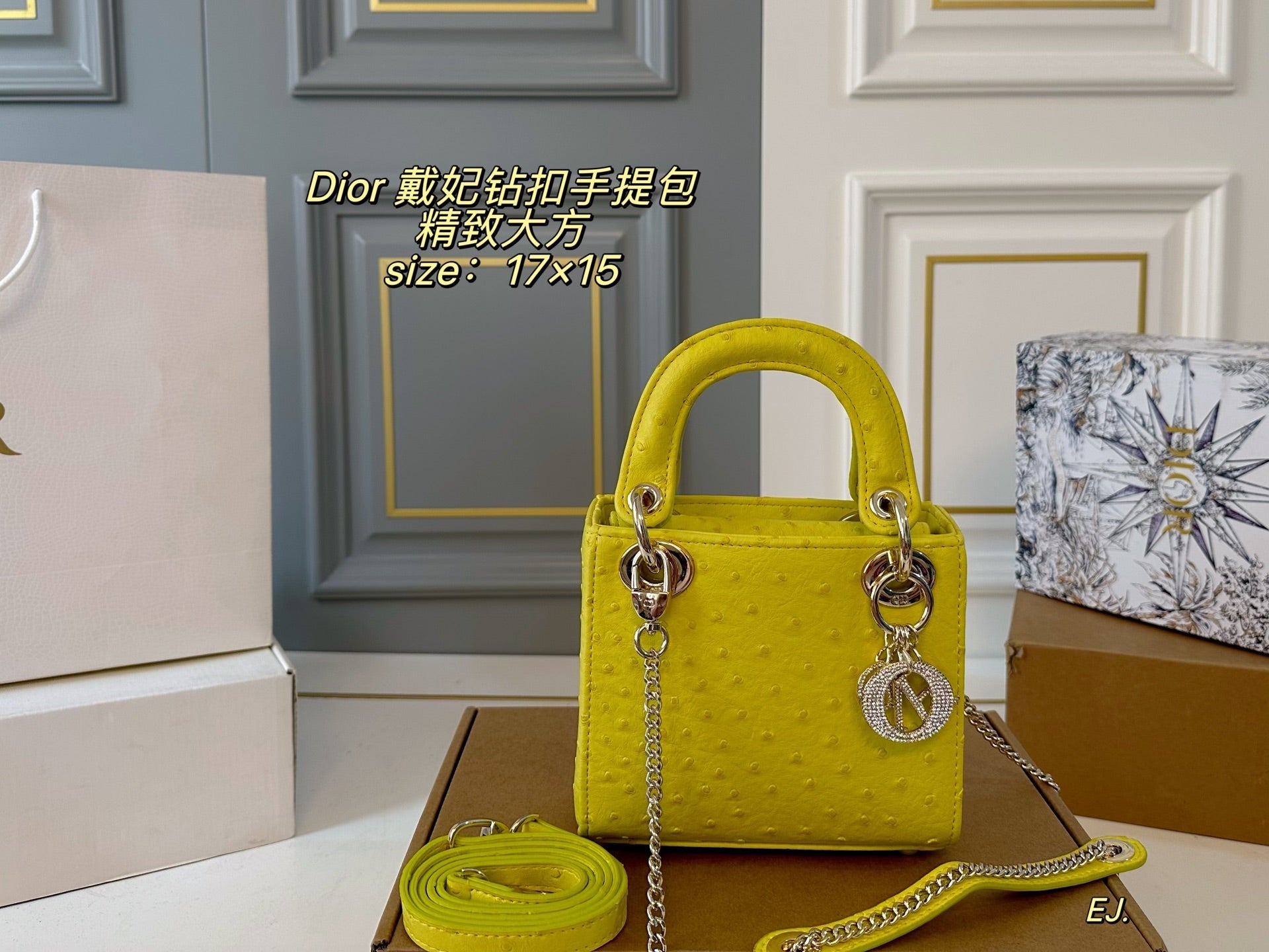 Lady Dior Handbag