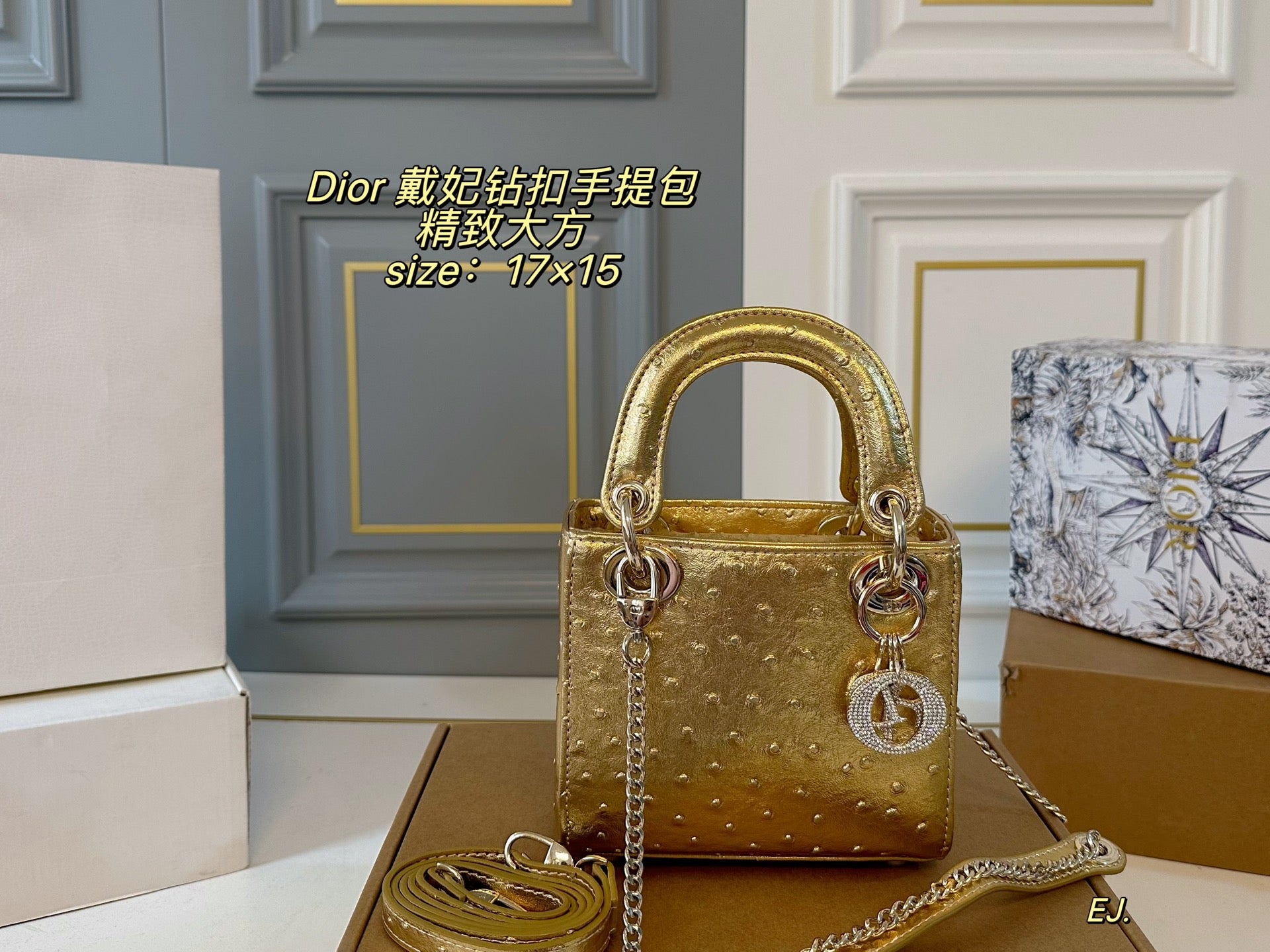 Lady Dior Handbag