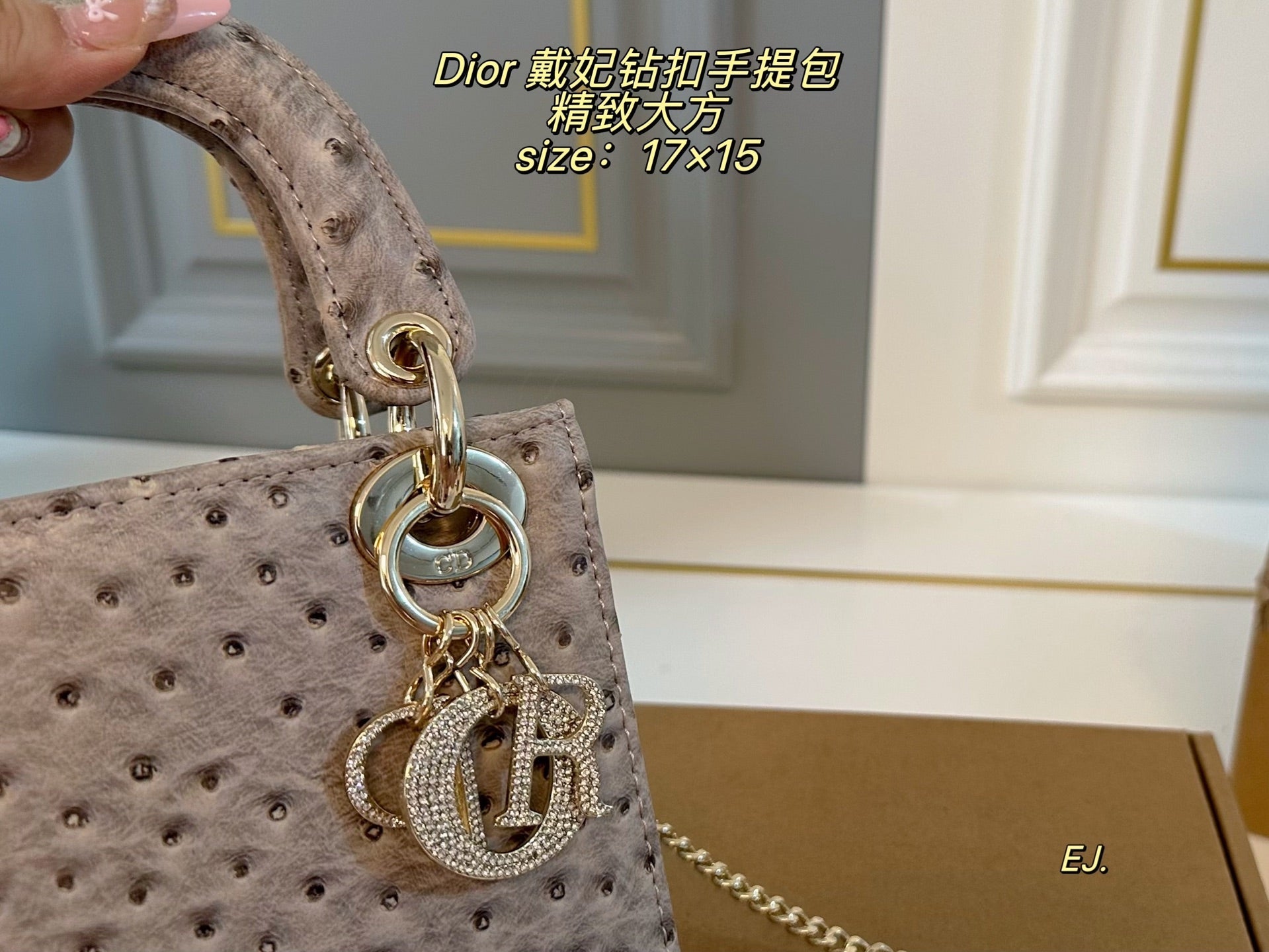 Lady Dior Handbag